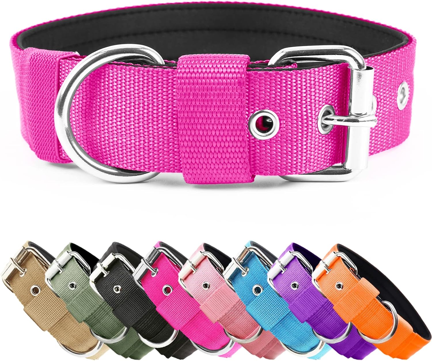 Vibrant Life Dog Collar Adding Color to Your Pup's Style