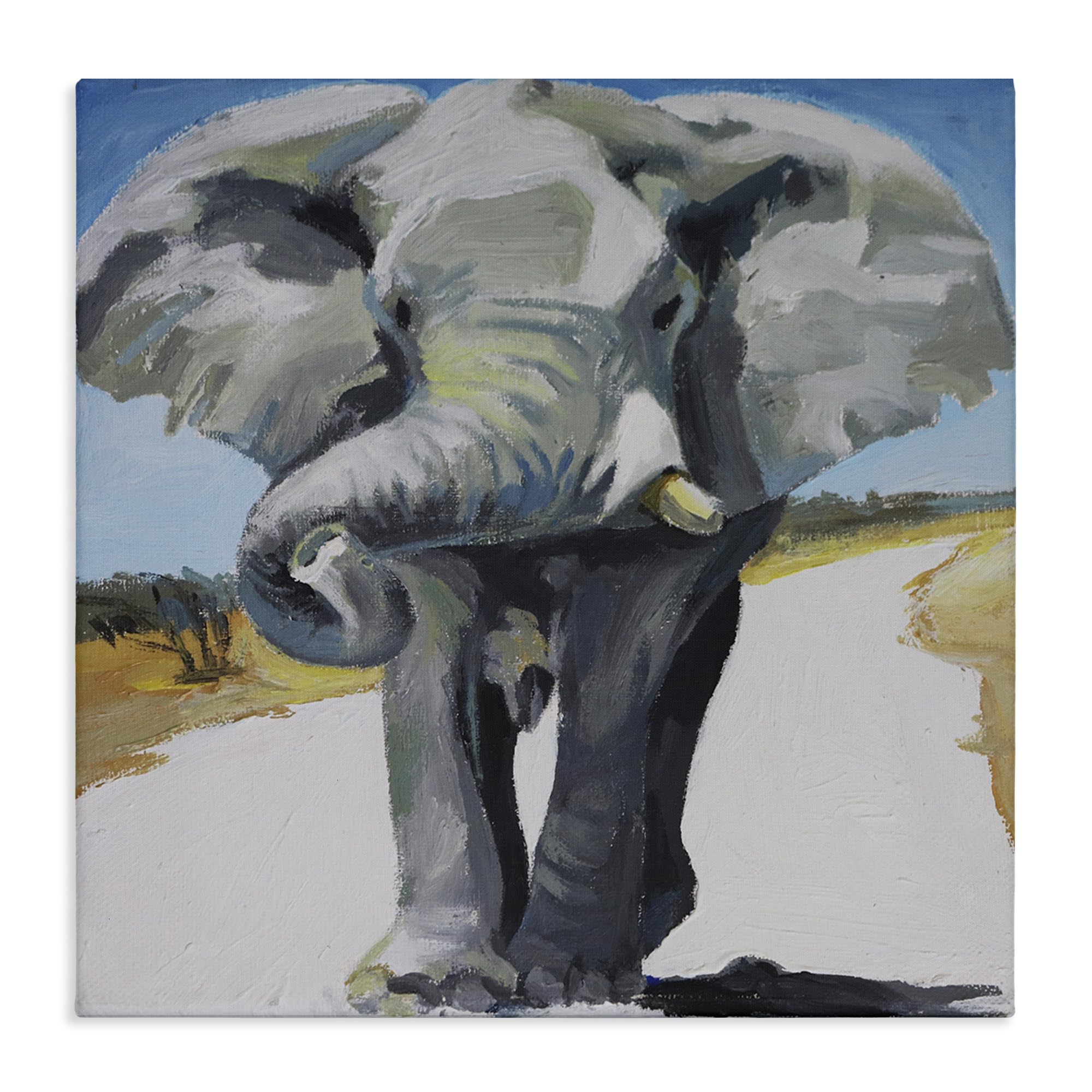 'Majestic Elephant on Path'| Canvas Art