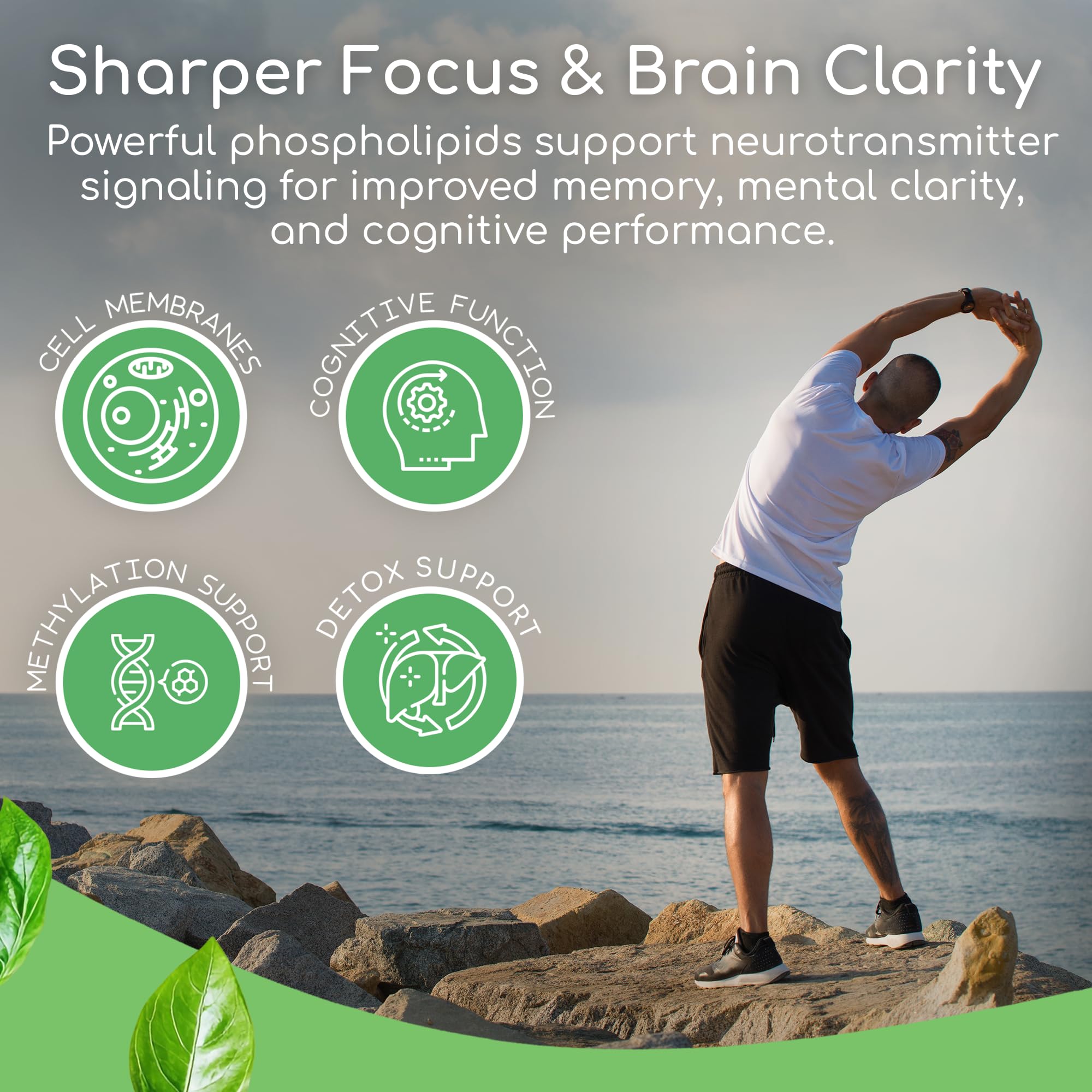 Phospholipid Synergy Powder | Antioxidant Powder for Cellular Repair | Brain Supplements for Memory and Focus | Liver Detox Supplements with an Advance Cleansing Formula | 270 g — Amazon image 3