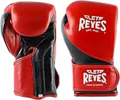 【CLETO REYES】High Precisionトレーニンググローブ CLETO REYES HIGH PRECISION BOXING GLOVES