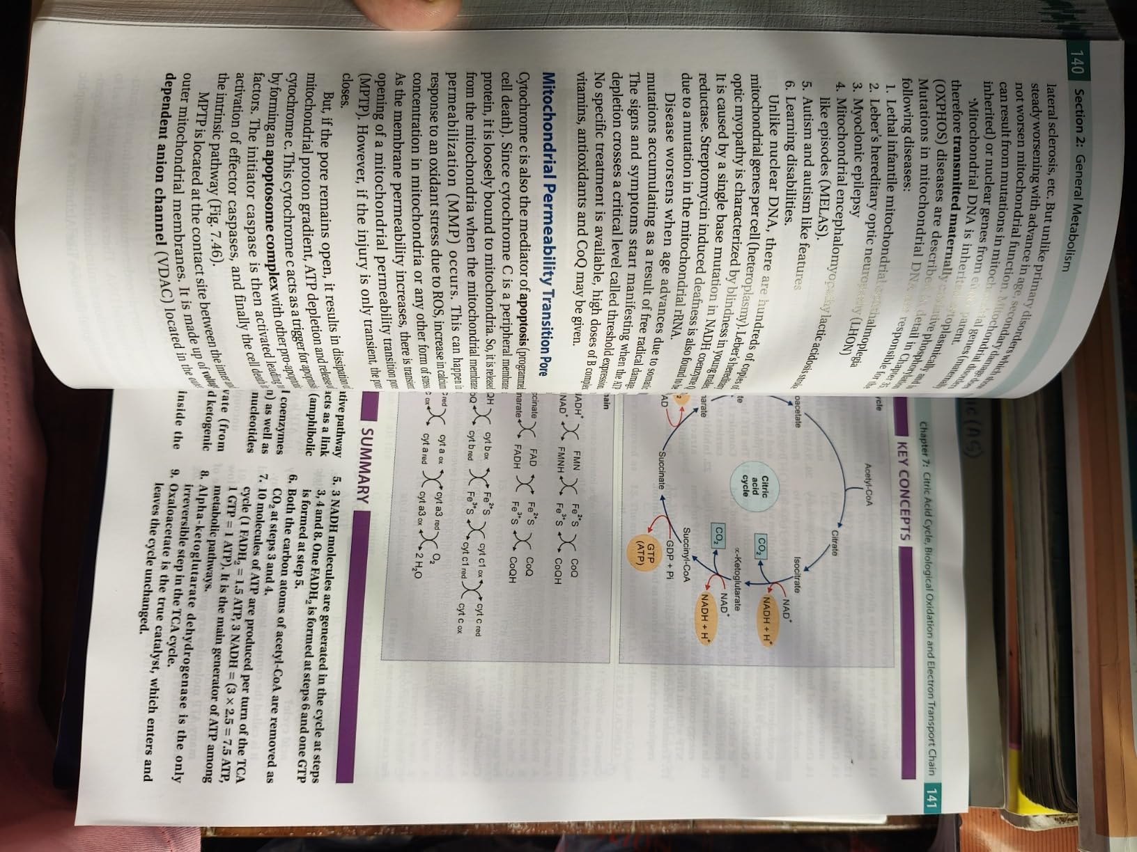 BIOCHEMISTRY BOOK FOR MEDICAL STUDENTS PDF visual data 5