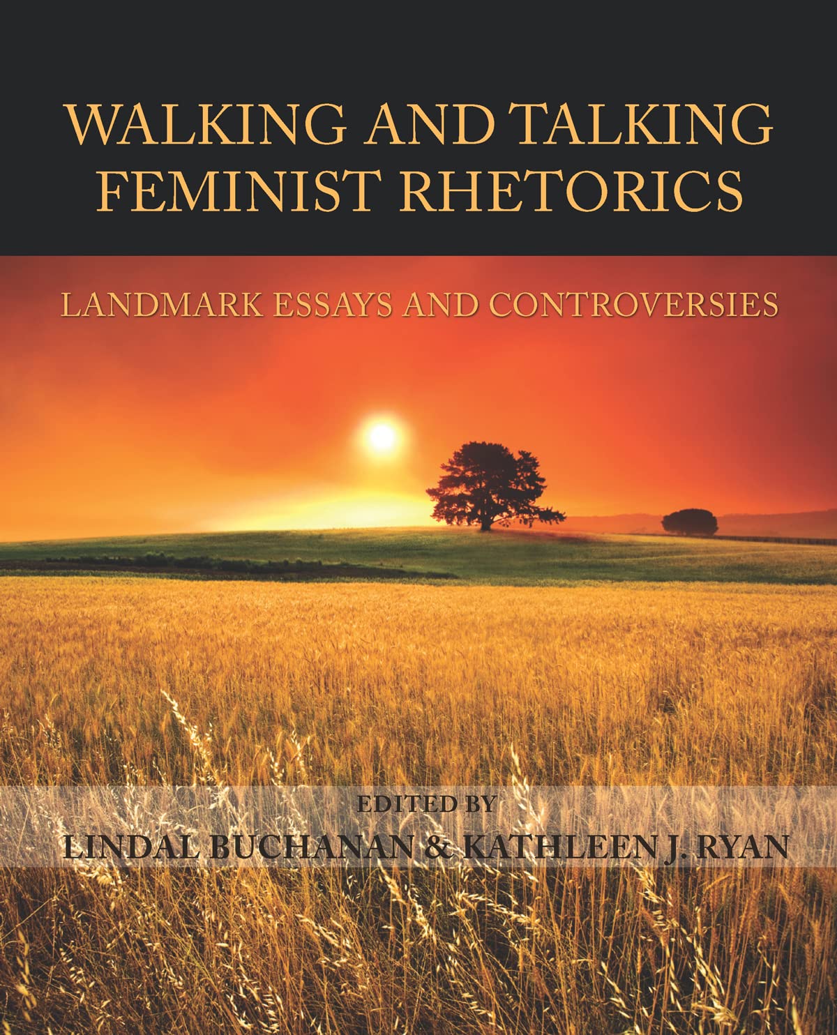 Walking and Talking Feminist Rhetorics: Landmark Essays and Controversies (Lauer Series in Rhetoric and Composition)