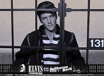 Amazon | エルヴィス・プレスリー 1/6 アクションフィギュア 監獄