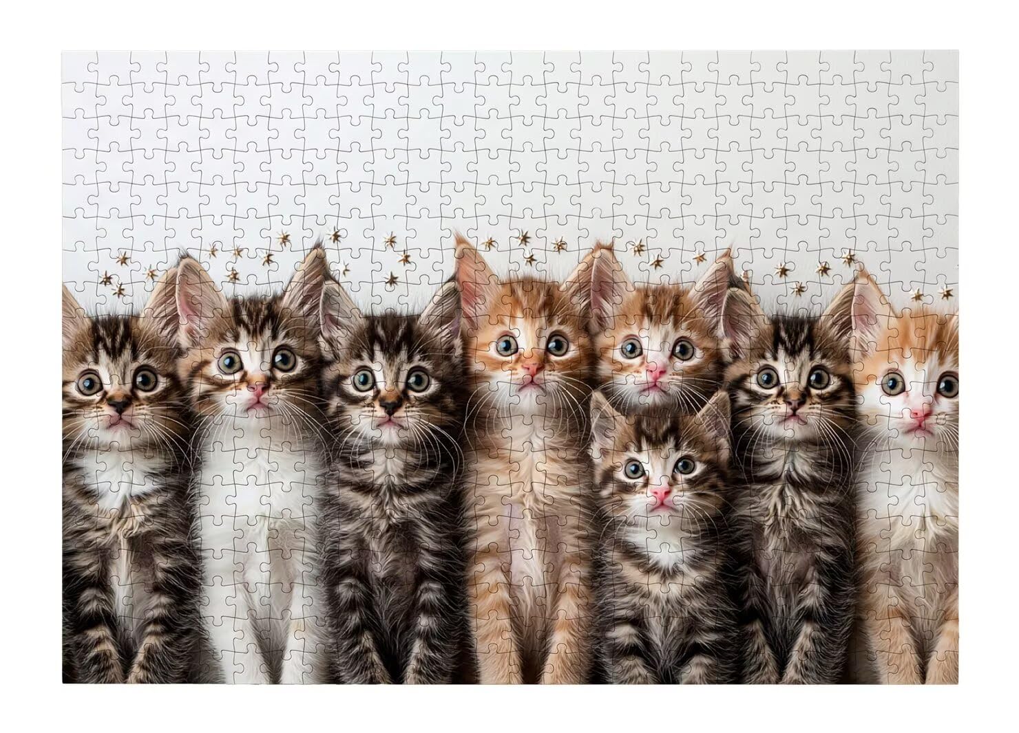 Puzzle 2000 Pezzi, Puzzle Gatto per Adulti, 100x71cm, Compact Box -4632