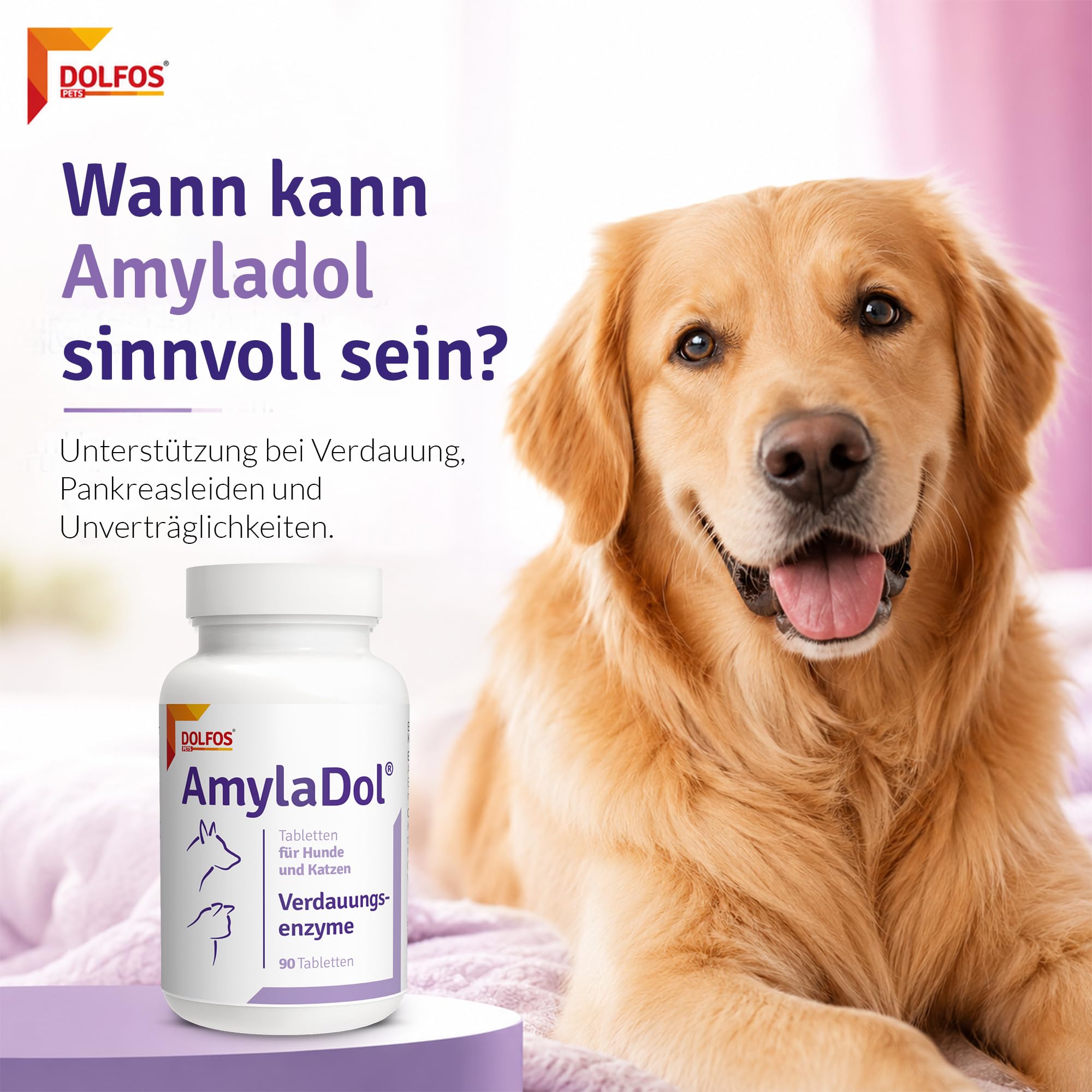 AmylaDol Verdauung Hund 90 Tabletten, Natürliche Verdauungsenzyme einschließlich Amylase, Lipase und Protease. Diätetisches Nahrungsergänzungsmittel bei Verdauungsstörungen bei Hund und Katze
