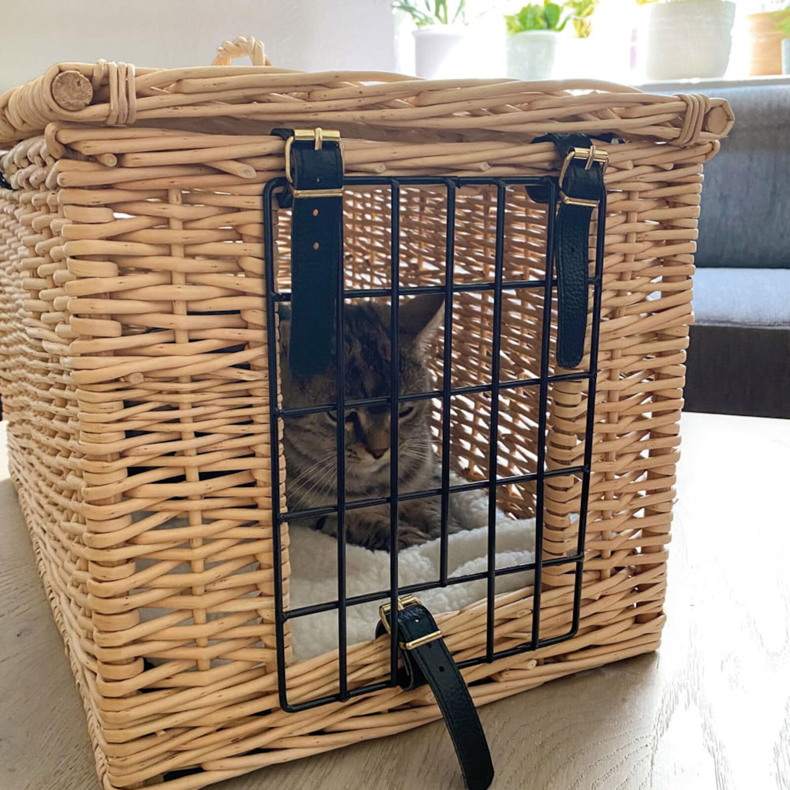 Aumüller Katzentransportkorb aus gesottener Weide - rechteckig
