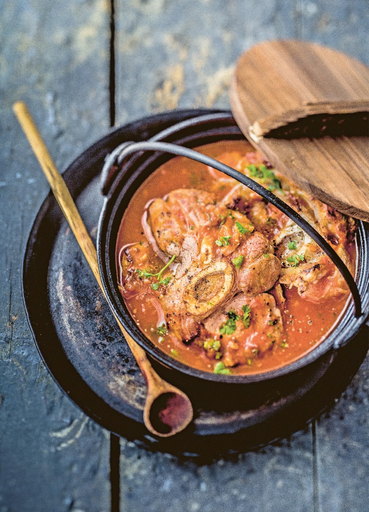 One Pot: 100 Simple Recipes to Cook together (FOOD-COOK)
