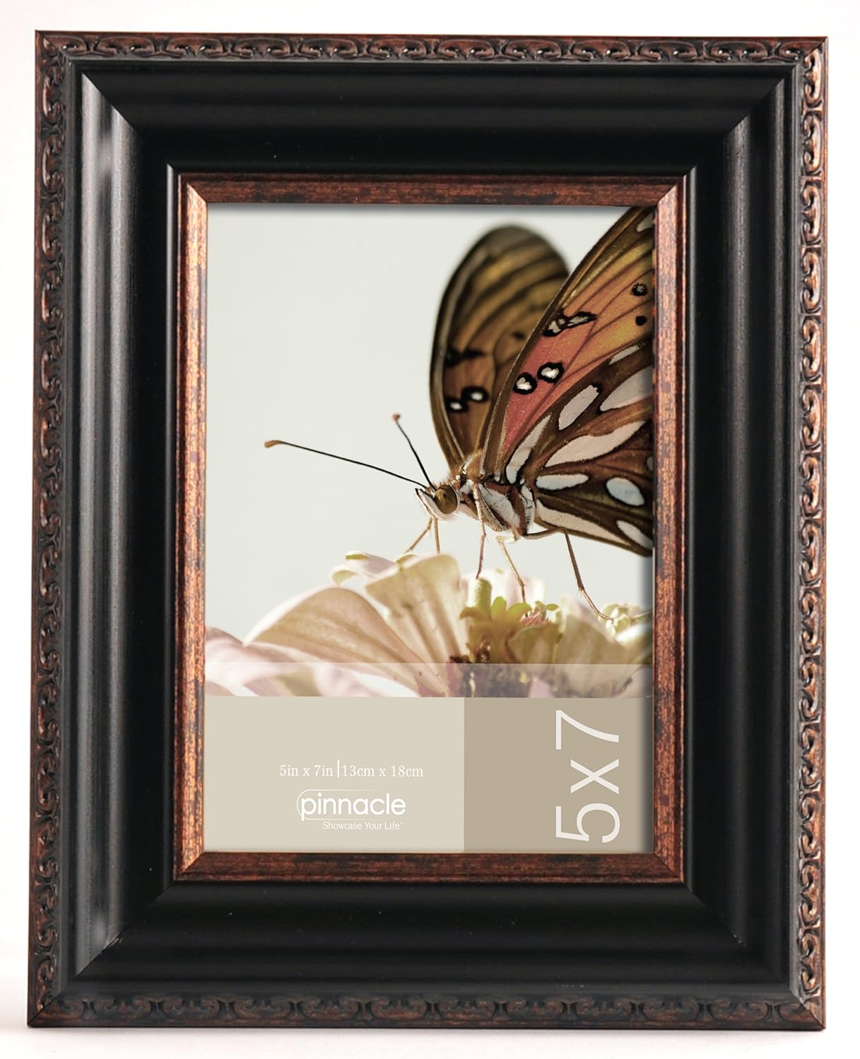 Pinnacle Frames and Accents 12FP2553 Tabletop Picture Frame, 5 x 7