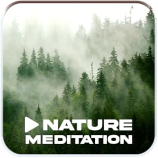 Nature Meditation Sounds - Forest Sounds, Rainy Forest Sound, Nature Sounds for sleeping and study for Fire Tv and Fire Tablets - ASMR Ambience Nature