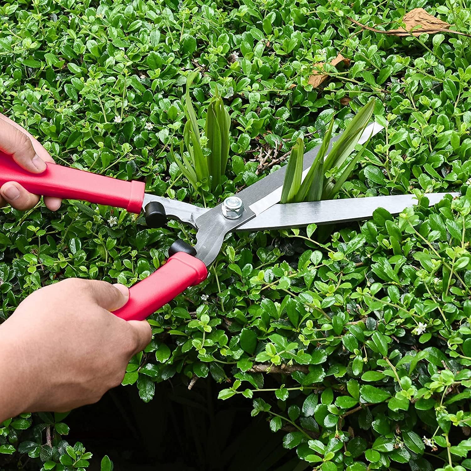 Kapoo Heavy Duty 28" Tree Loppers, Garden Lopper Set with 18" Professional Hedge Shears, 8" Sharp Pruning Shears for Tree and Shrub Care Kit ba02 : Patio, Lawn & Garden