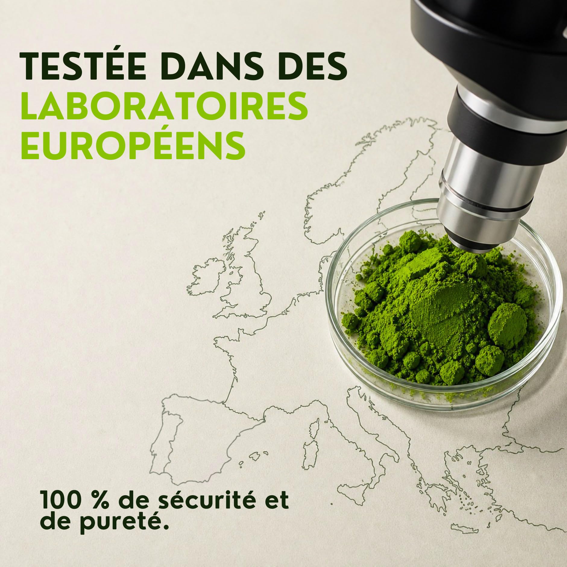 Avelor Sabi – Matcha de qualité cérémoniale – Équilibre quotidien – 500 g