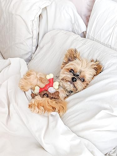 Miniatura 3 de Nylabone Dura Hueso doble masticable sabor tocino Rojos