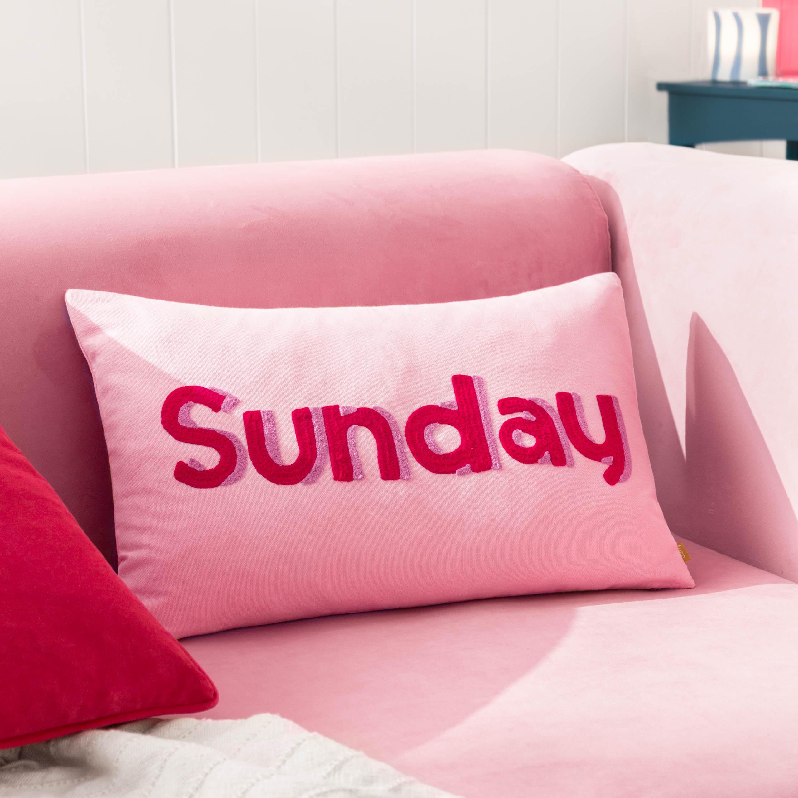 Furn. Sunday Embroidered Feather Rich Cushion from B&Q