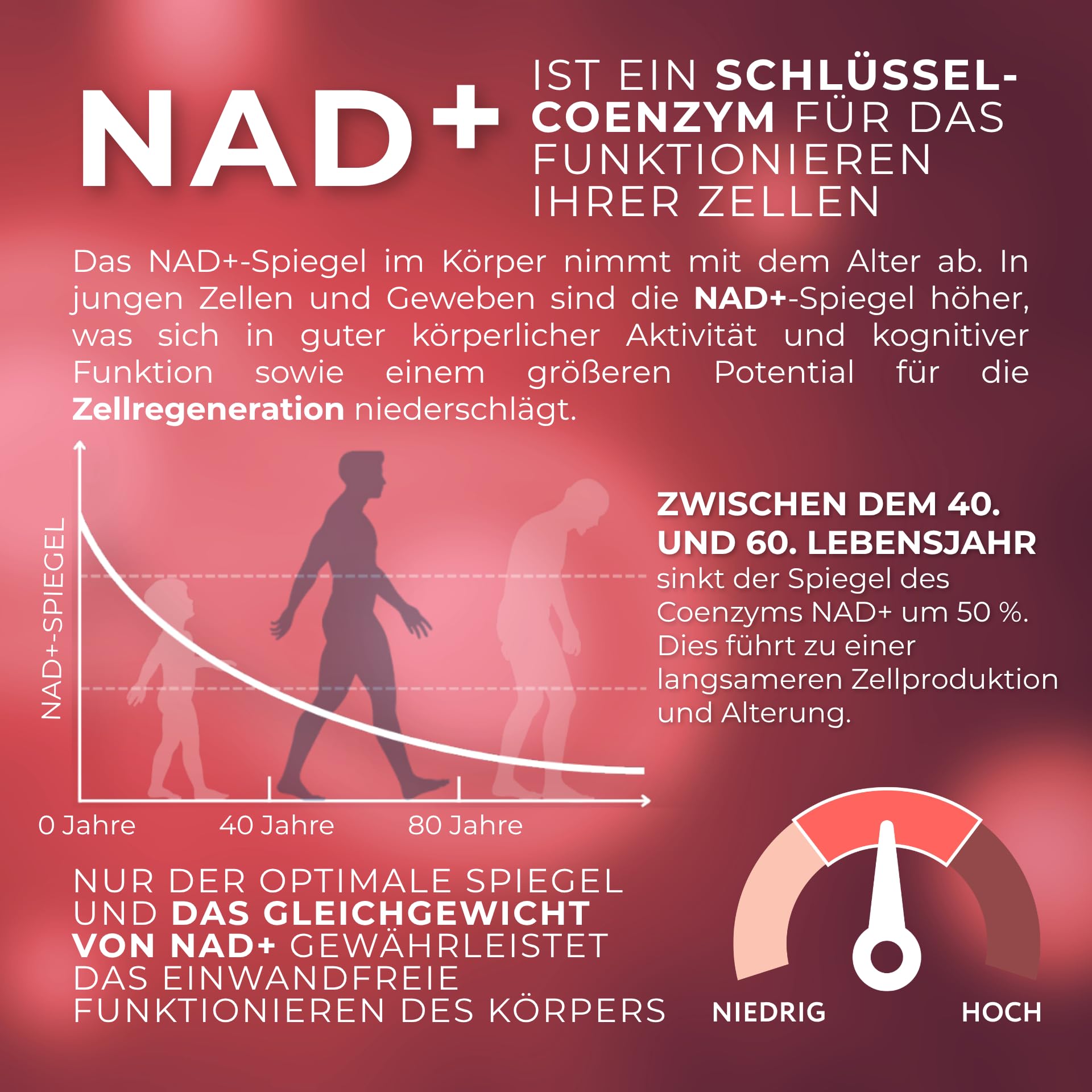 NAD Plus Optimierer mit Trans Resveratrol, 1-MNA und Zink - NAD+ Vorstufen & Polyphenole - Unterstützt Zellvitalität & Energie - Vegan, Glutenfrei, Tägliches Antioxidans - 30 Kapseln