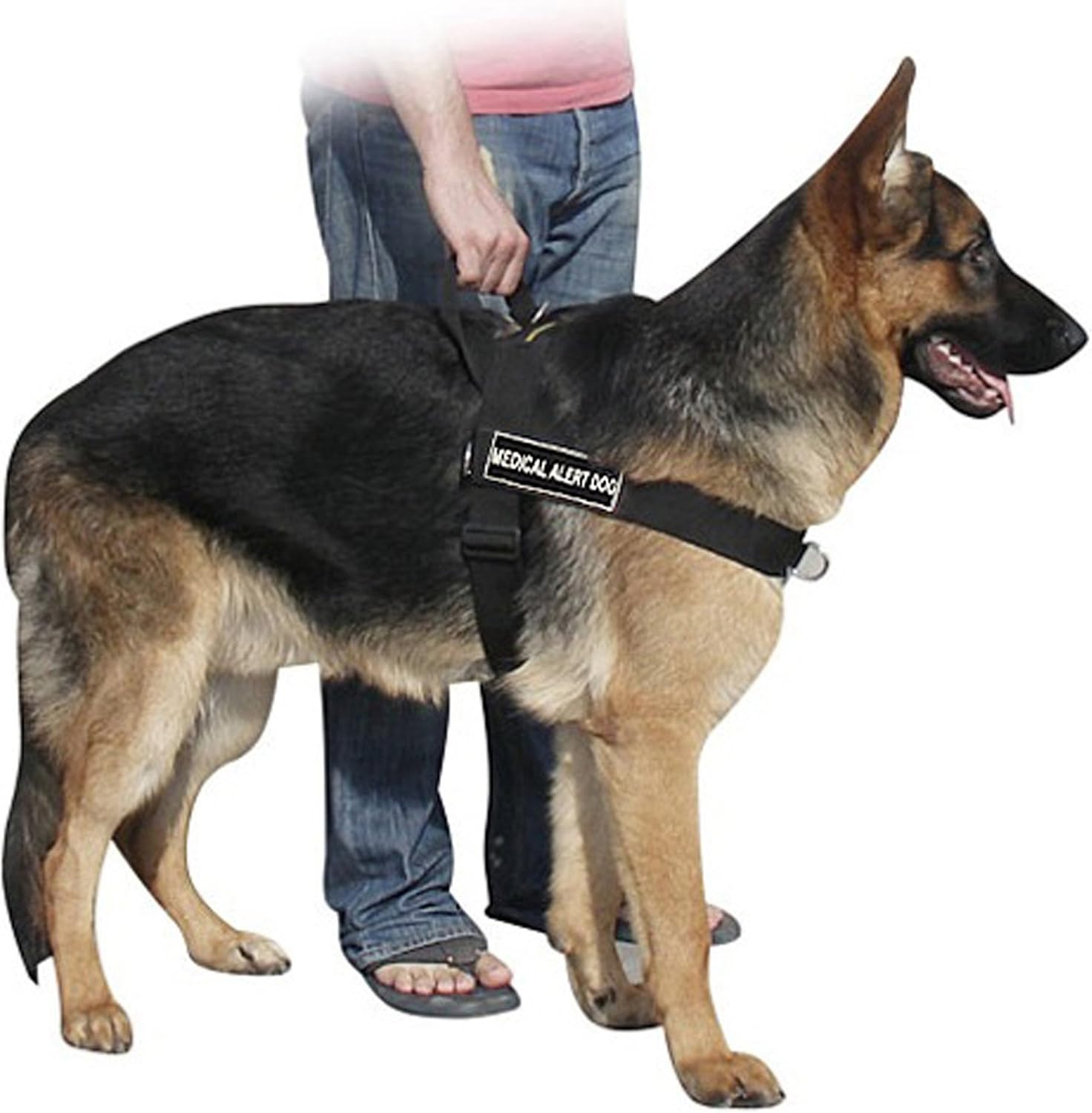 Dean & Tyler DT Universal No Pull Dog Harness with Medical Alert Dog Velcro Patches, Fits Girth Size 24-Inch-29-Inch, Black