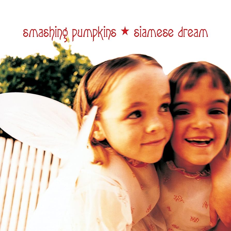 Smashing Pumpkins /Siamese Dream レコード Siamese Dream (2枚組/180グラム重量盤レコード) : The Smashing