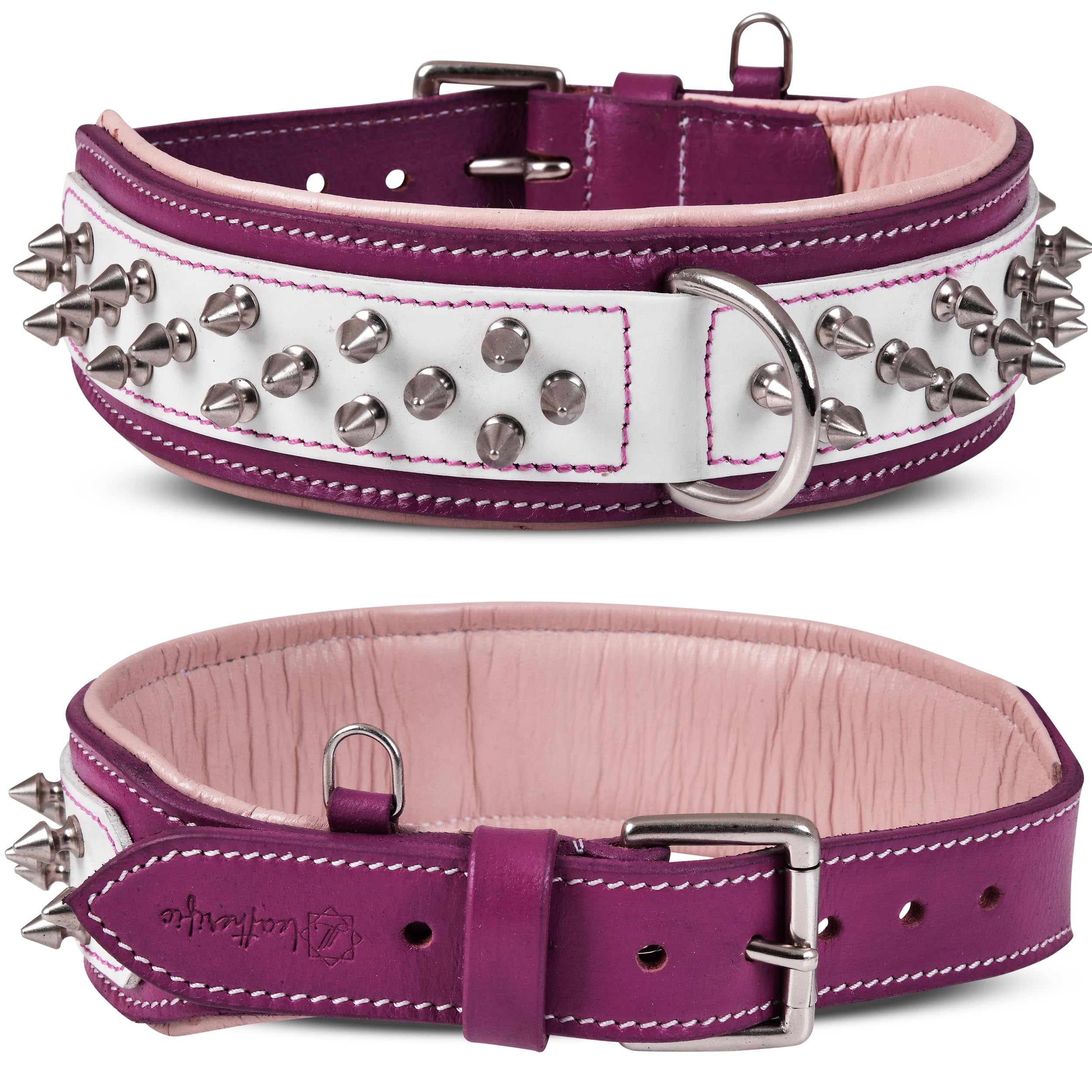 Leatherific Spike Dog Collar