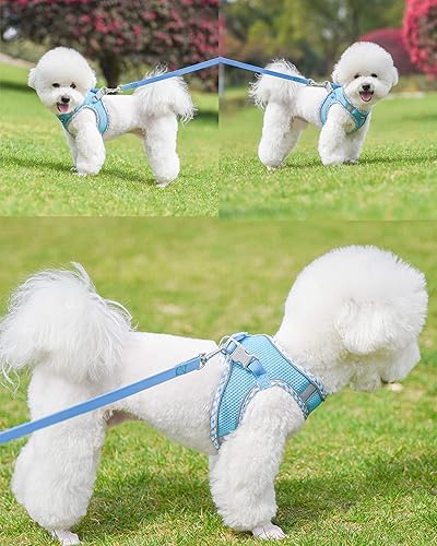 Miniatura 2 de Petank Arnés para perros pequeños y medianos sin tirones, juego de arnés y correa para cachorro, arnés para perro para caminar, correr y entrenar,