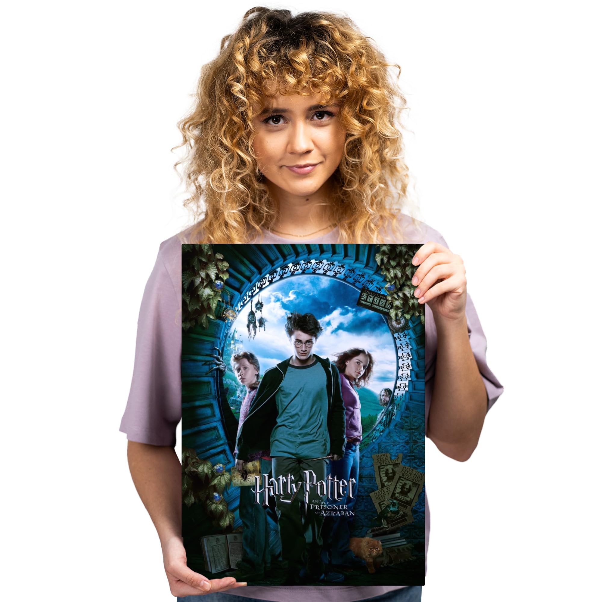 Displate Offiziell Harry Potter MetallPoster Magnetische Befestigung Inklusive Lizenziert Bilder Hochwertiges Poster Prisoner of Azkaban s - Harry Potter 3 45 cm x 32 cm