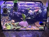 Review Image by Customer Customer