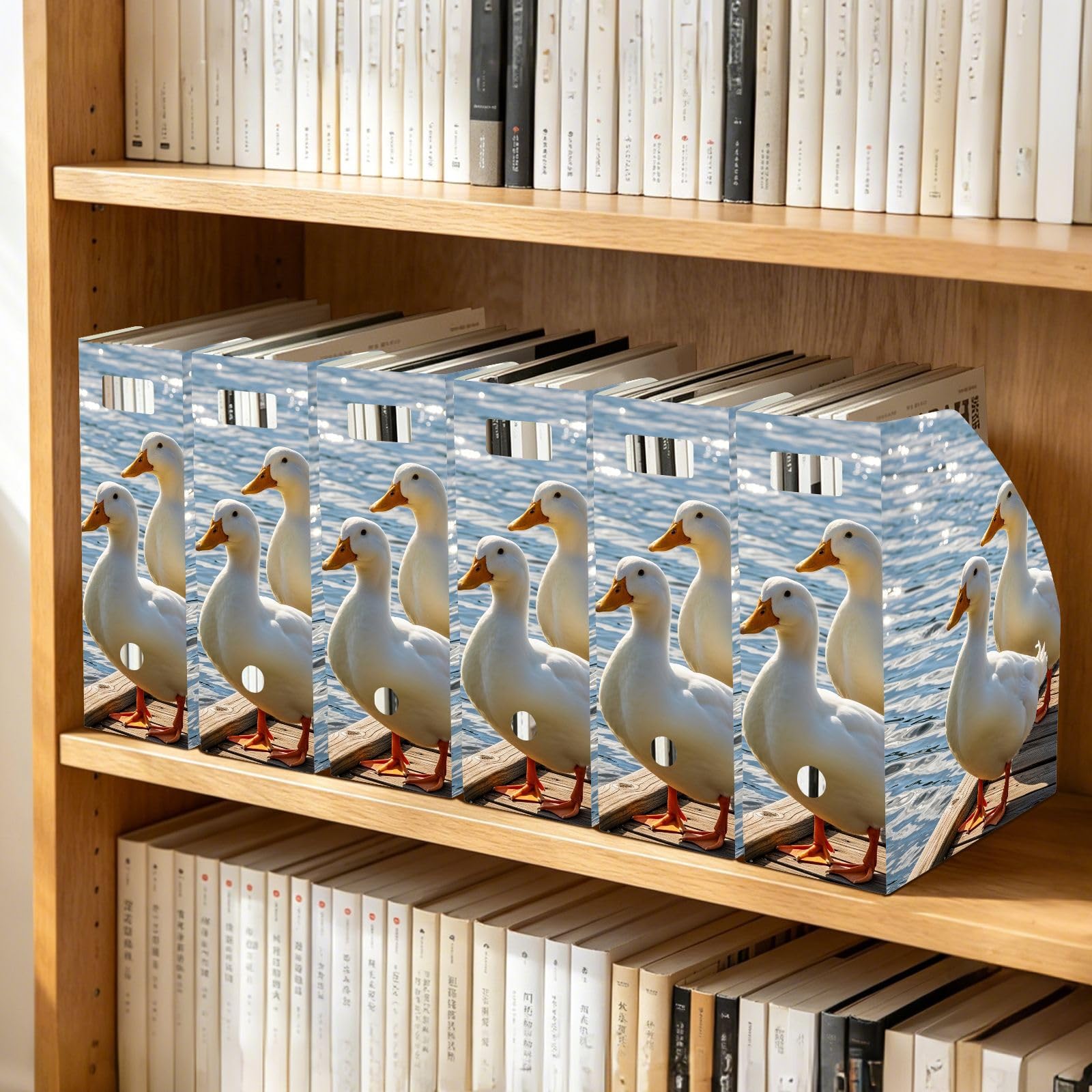 Funny Duck - Organizador de carpetas de archivos blanco para usuarios de