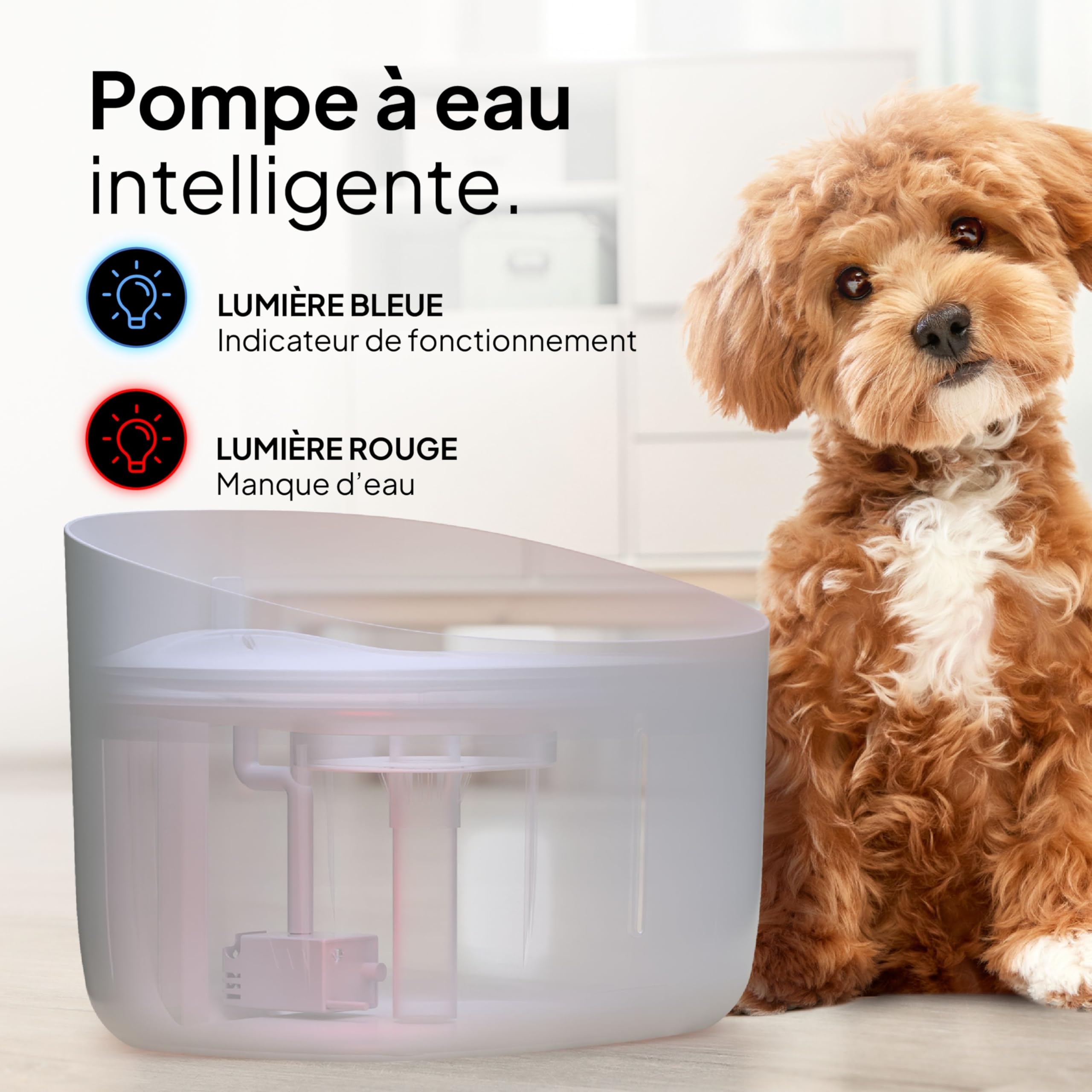 Pretty Paw Fontaine à Eau Chien 7L Grande Capacité - Filtration Charbon Actif, Circulation Continue, Indicateur LED, Distributeur d’Eau pour Chiens et Chats - Dog Stream (Blanc)