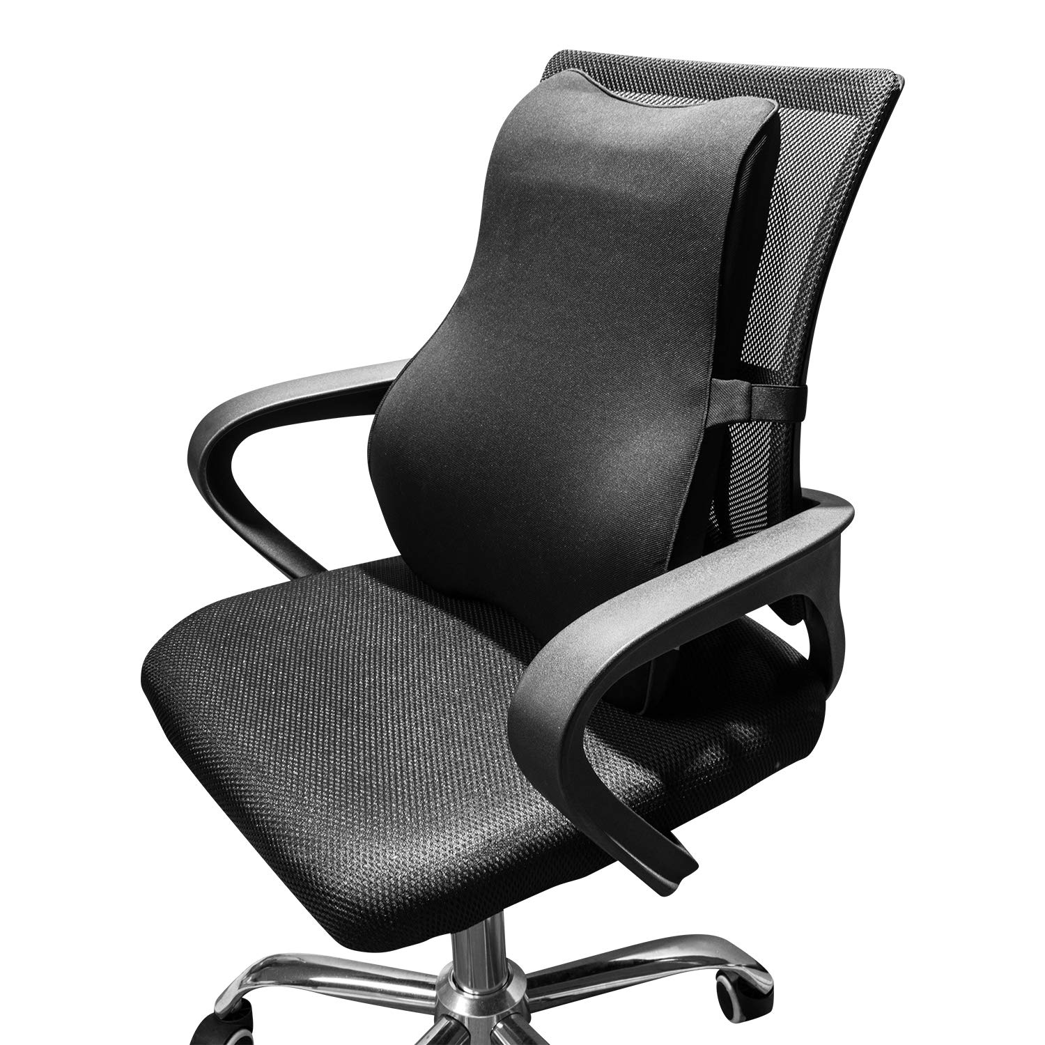 Chairs Back Support All Chairs