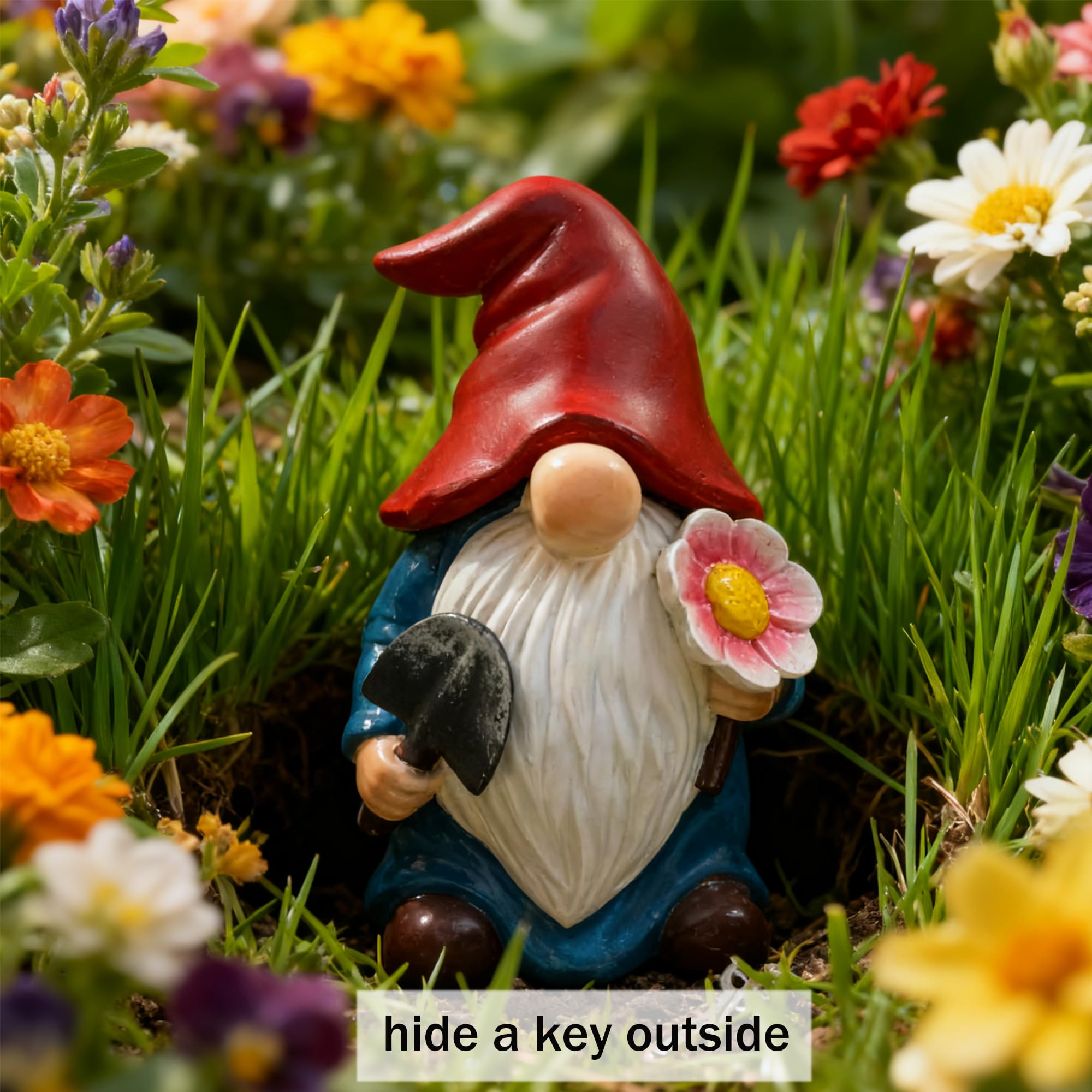 https://m.media-amazon.com/images/I/81HVktddl-L.jpg