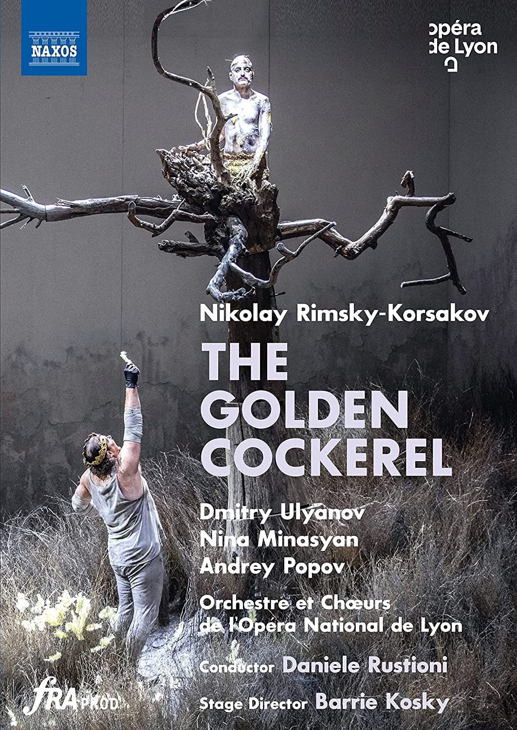 Korsakov: The Golden Cockerel [Various] [Naxos: 2110731] [DVD]