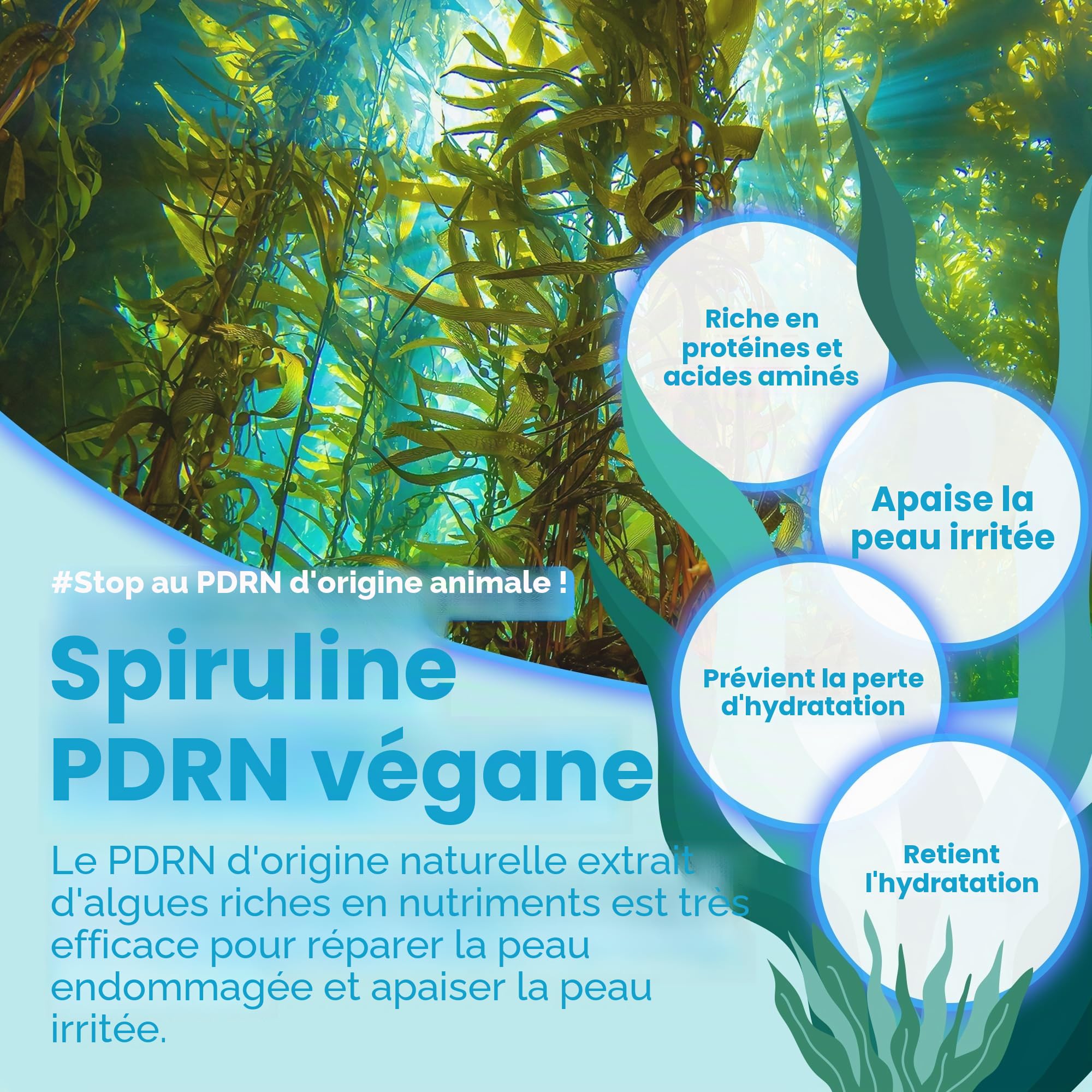 SOME BY MI PDRN Spiruline Poreless Primer - 10g - Vegan Corean Primer Stick pour le visage avant le maquillage - Masque les pores, contrôle le sébum et régule l'humidité avec la mer