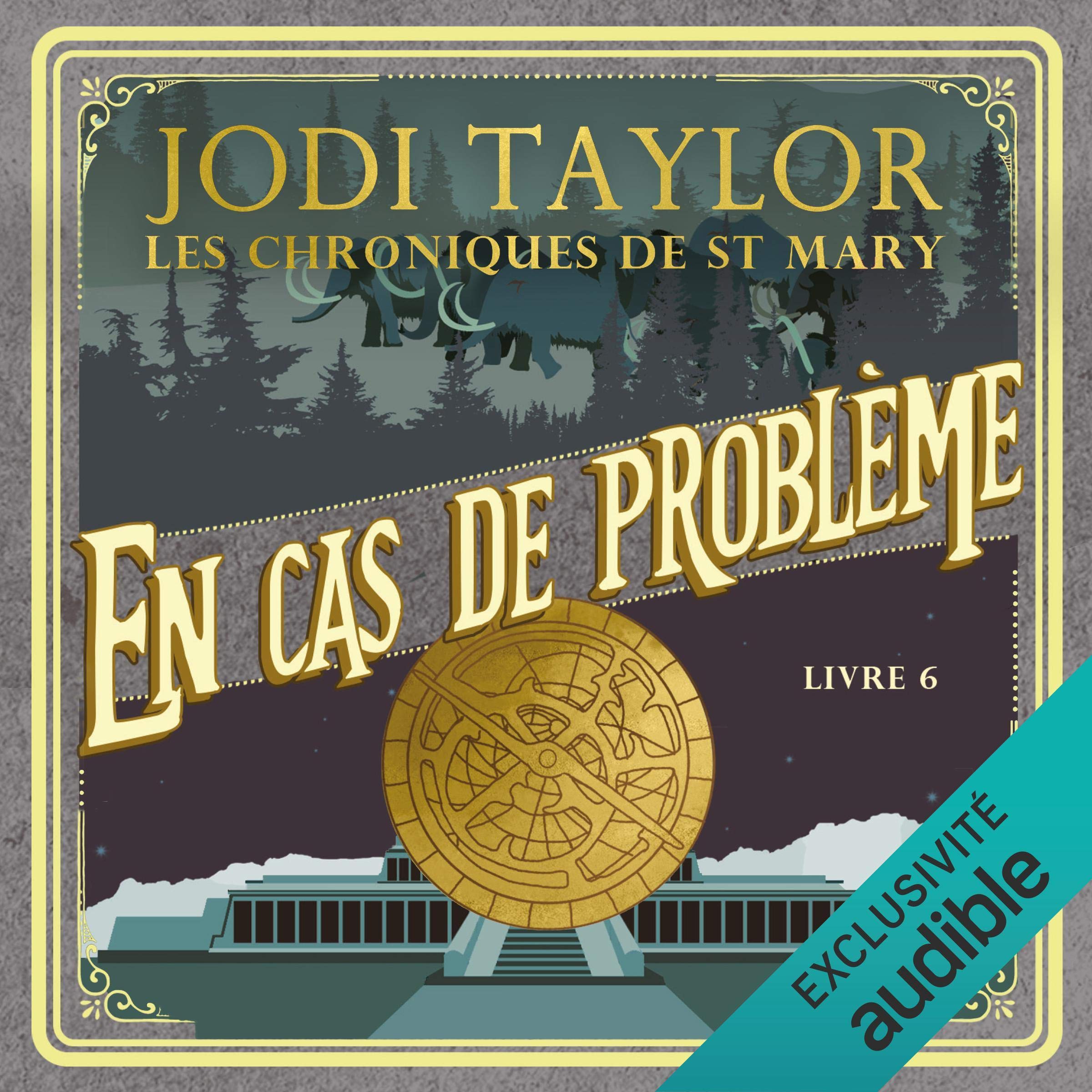Cover art for En cas de problème