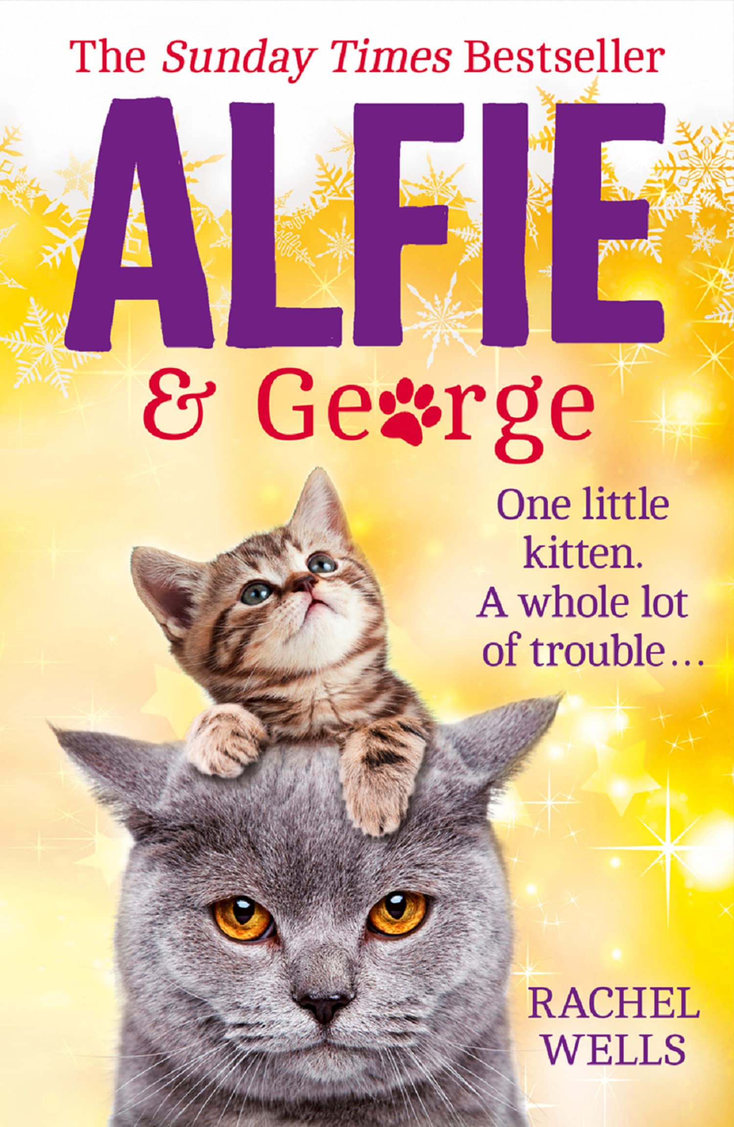 Alfie and George, Fiction – Fiction: literary and general non-genre – Modern and contemporary fiction: literary and general, Paperback, Rachel Wells