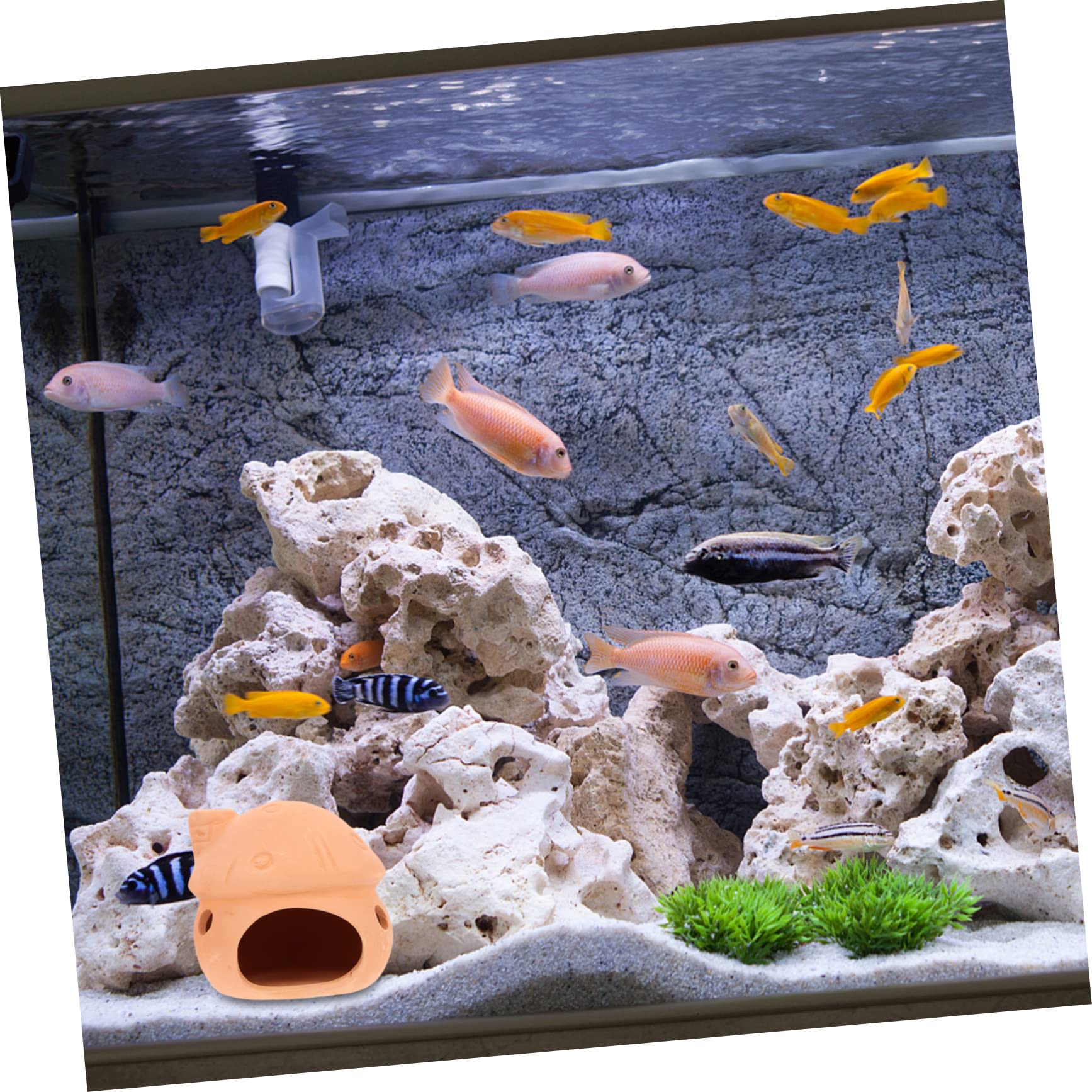 Sosoport 5 Sätze Garnelennest Garnelendosen Aquarienversteckfelsen Zubehör Für Aquarien Fischversteck Keramik Fischhöhle Schleichtiere Kleines Aquarium Aquarienlandschaftsdekore 2 Stück * 5