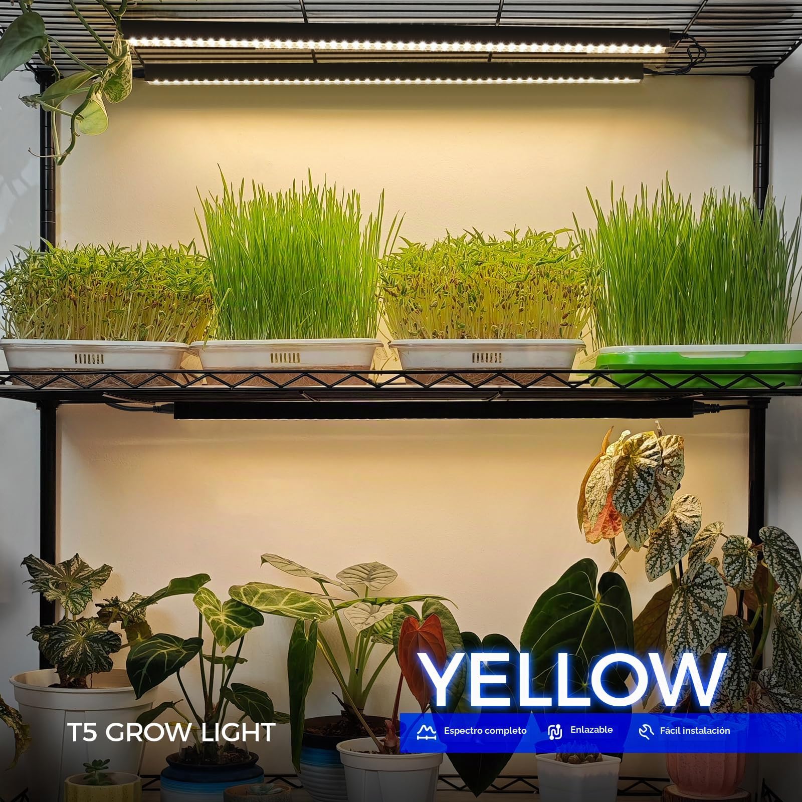 Barrina - Luces de cultivo de plantas T5 para cultivo en interiores, tiras de luz de crecimiento de espectro completo de 2 pies 80 W (8 x 10 W) con cubierta negra con interruptor, instalación