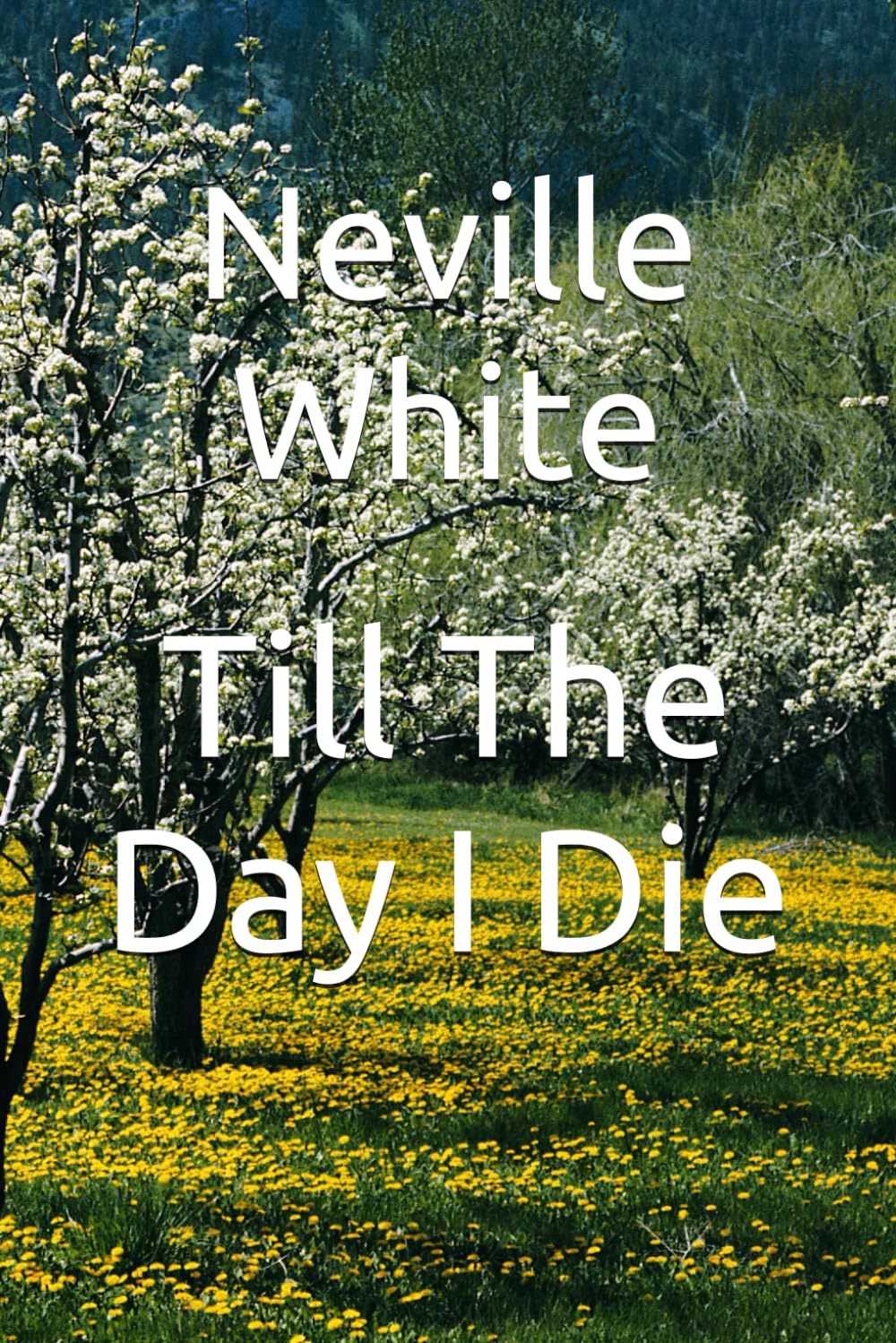 Till The Day I Die (A Granddad series)
