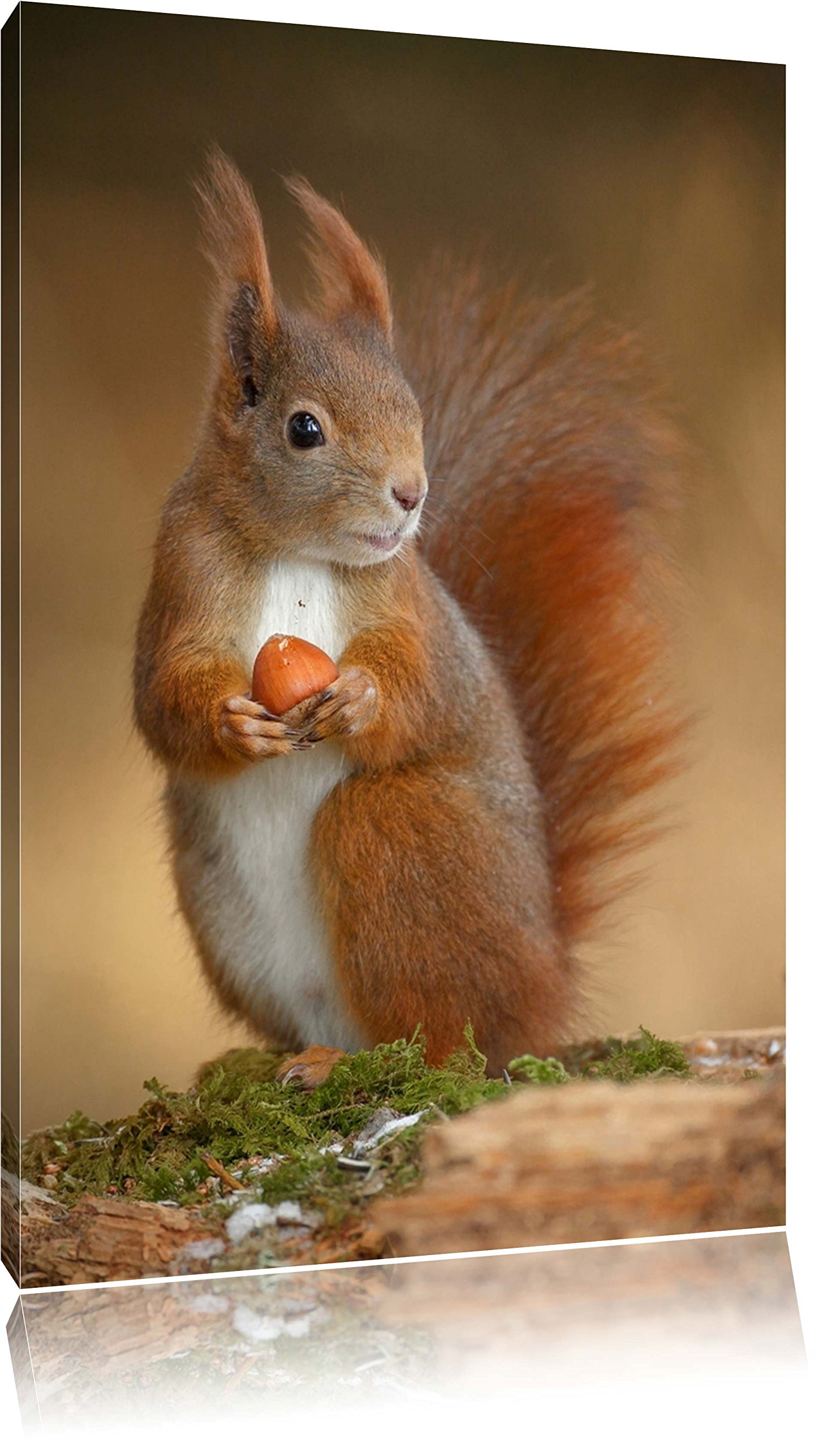 PixxprintColourful Canvas Wall Art