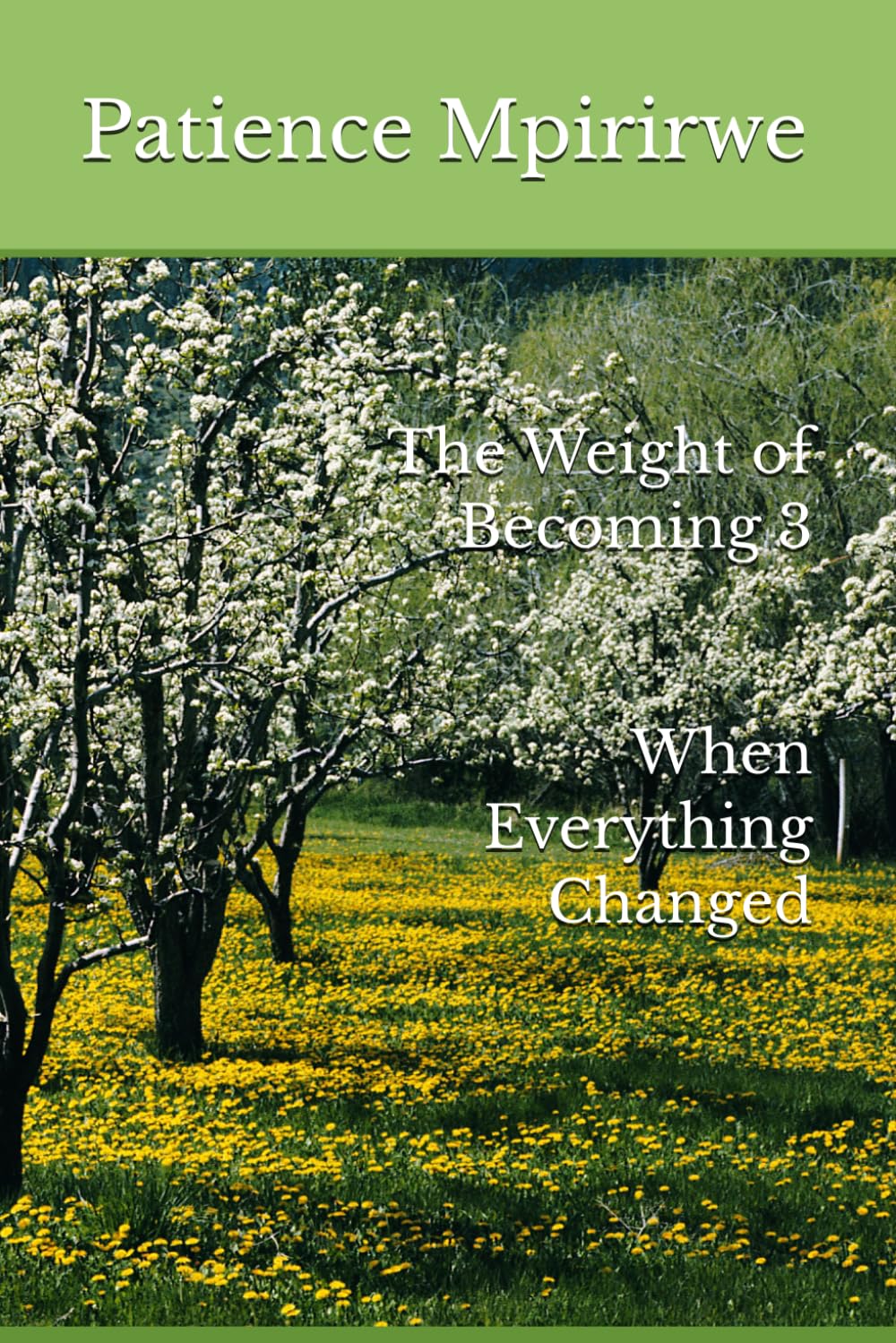 The Weight of Becoming 3 When Everything Changed