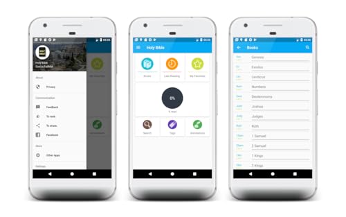 Niv Holy Bible - English