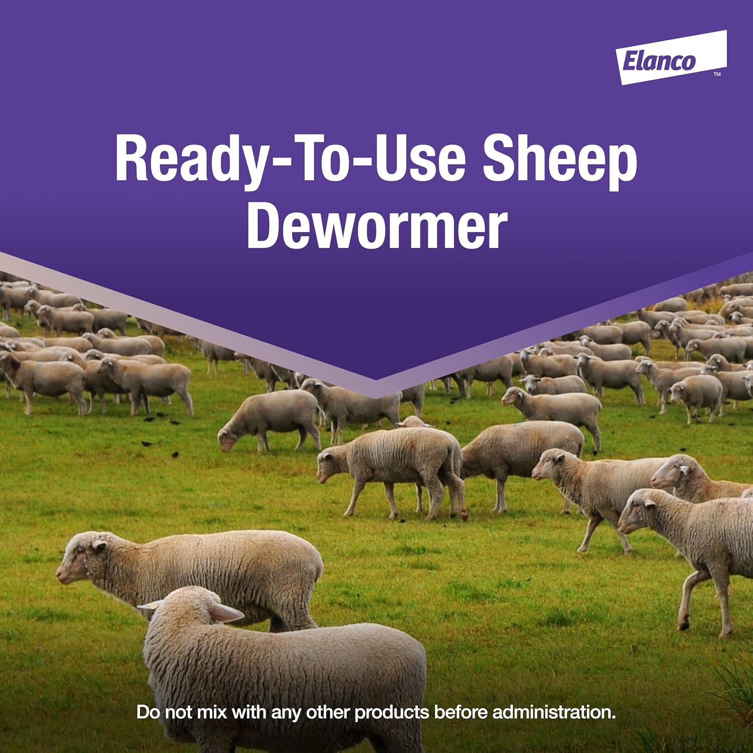 CYDECTIN 0.1% Drench (4 L)