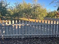 Review Image by Betty Betty