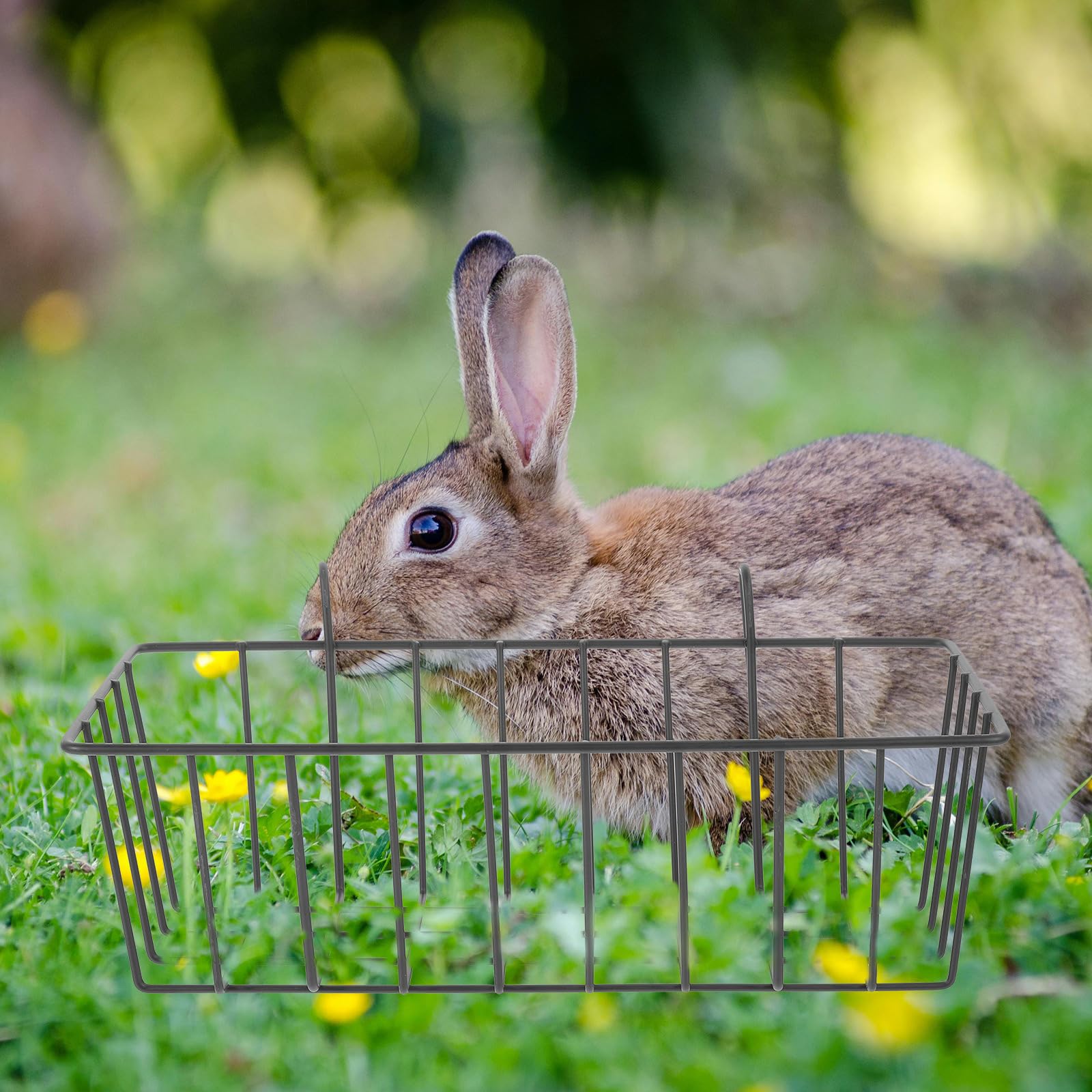 UKCOCO Râtelier À Foin Lapin 9.06X4.53X3.94 Pouces Distributeur Portable Facile À Nettoyer Support De Foin pour Lapins Et Petits Animaux