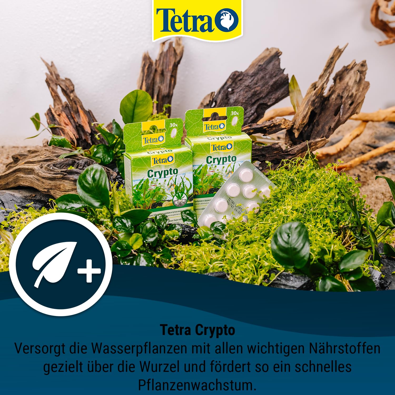 Tetra Crypto 770454 10 Tablets High-quality plant fertiliser : Amazon.de:  Pet Supplies