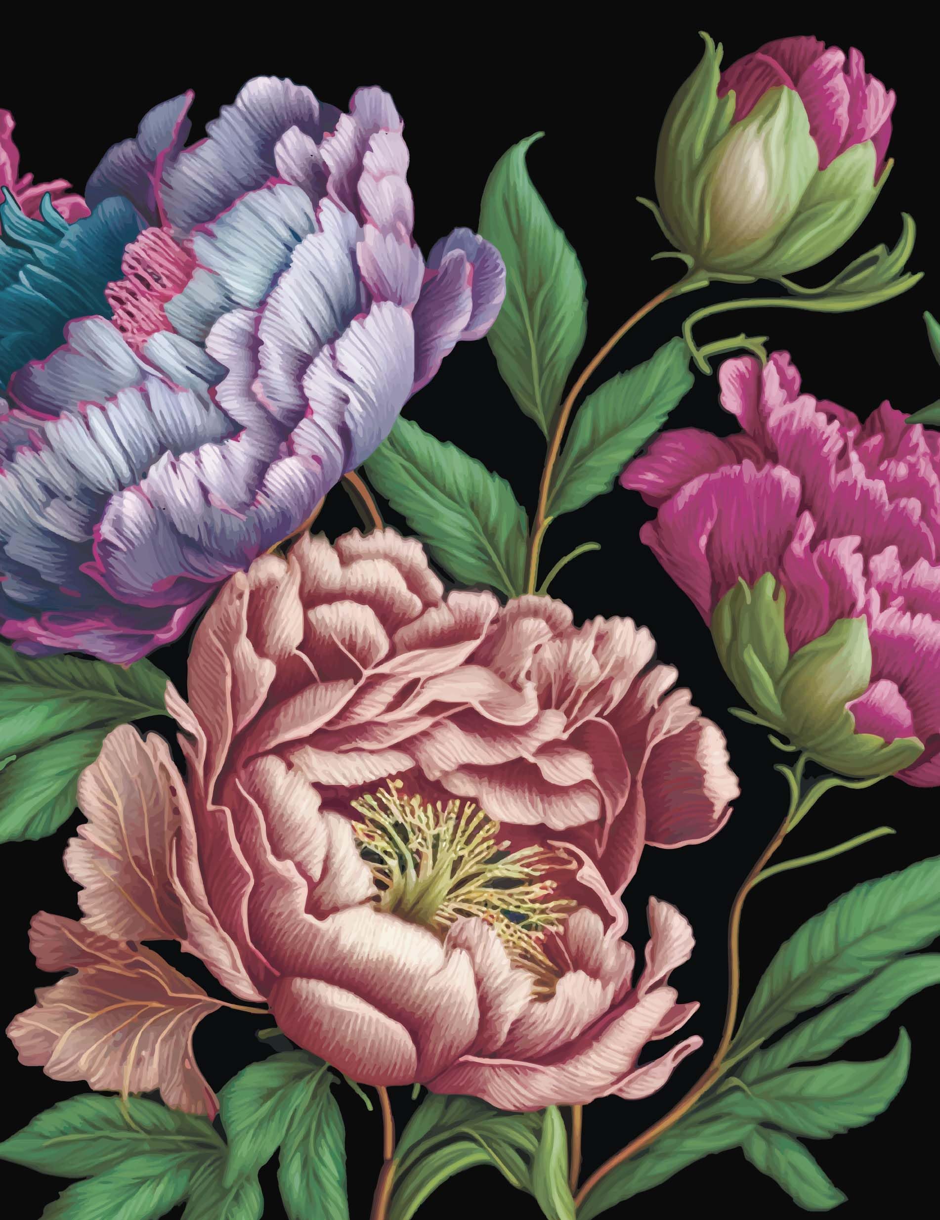Peonies Journal PAPERBACK 9780785847007