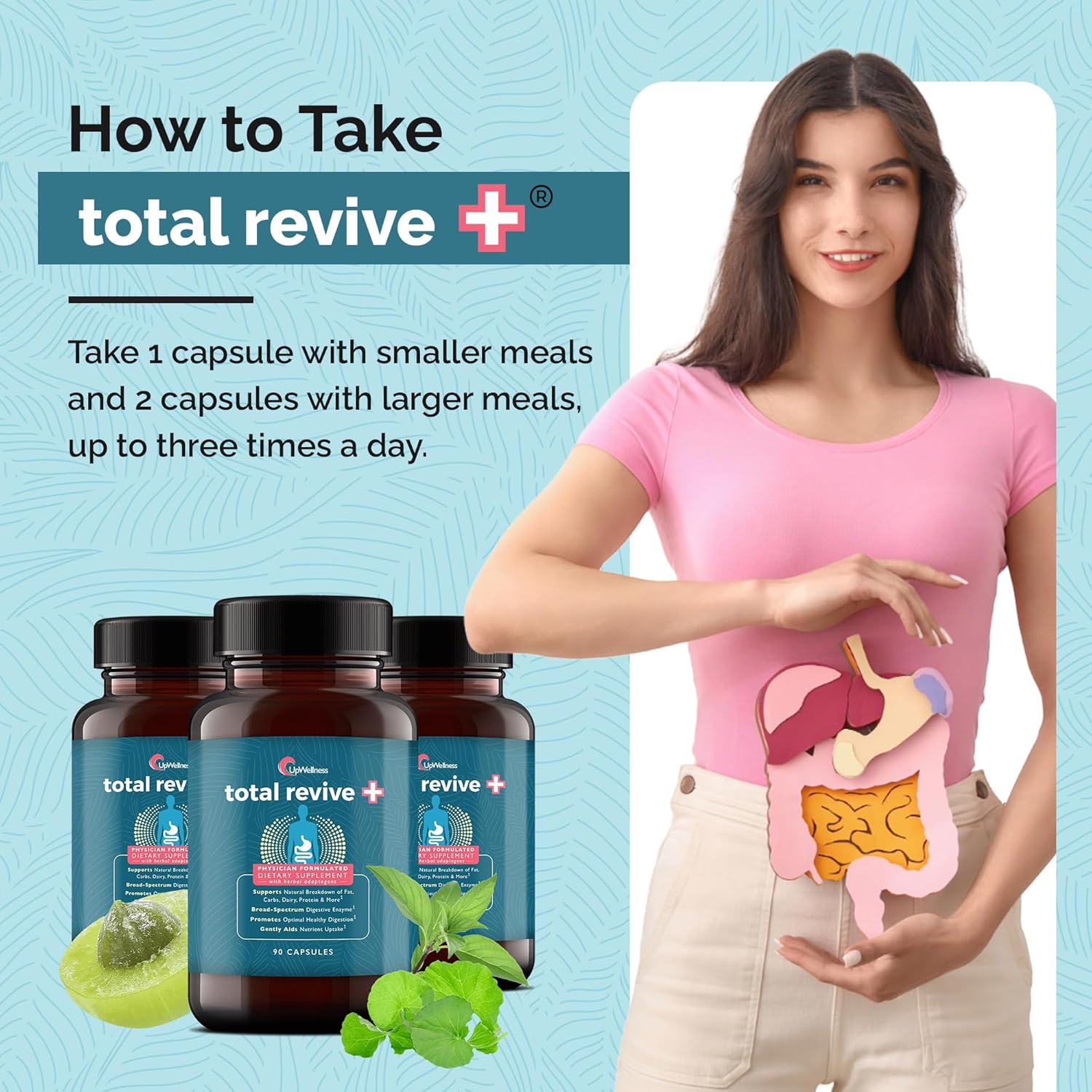 UpWellness Total Revive+ Digestive Enzymes - Broad-Spectrum Enzymes for Digestive Health - Supports Gut Health and Nutrient Absorption - Physician Formulated - 90 Capsules - Image 6