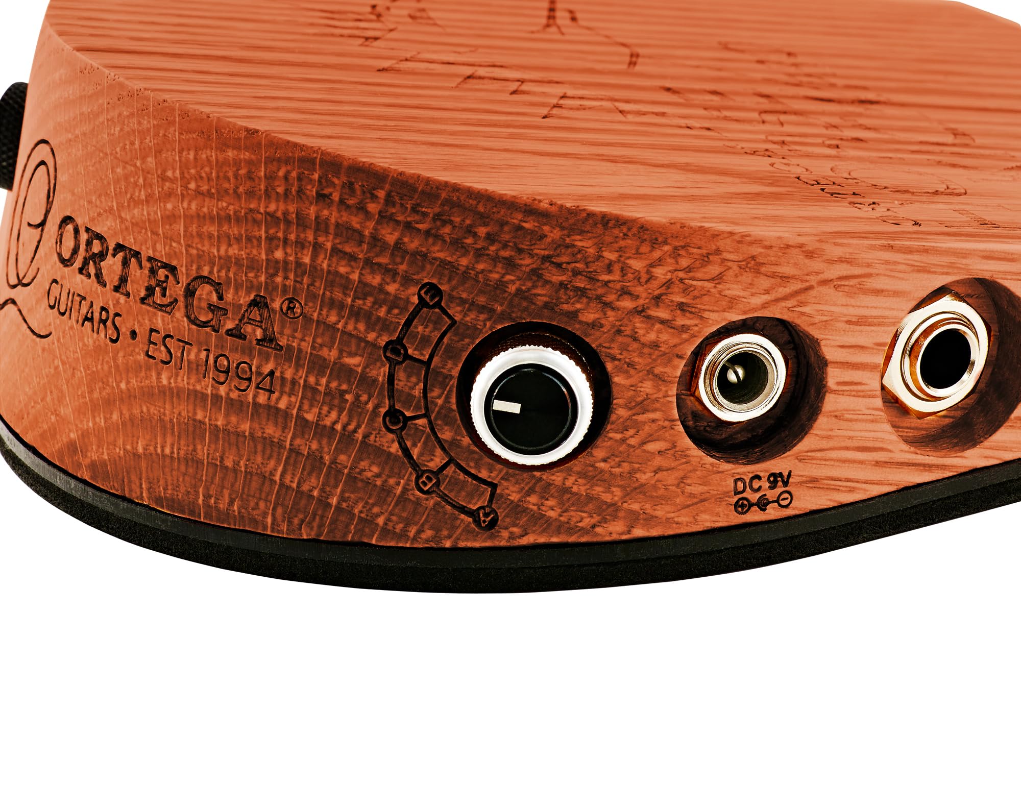 Amazon.com: Ortega Guitars Digital Singer-Songwriter