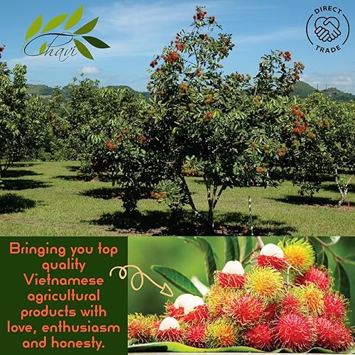 Miniatura 3 de CHAVI Rambután liofilizado - 2 onzas - Supersnacks saludables de 1 ingrediente - Sin azúcares ni conservantes añadidos - Sin OMG, vegano, sin