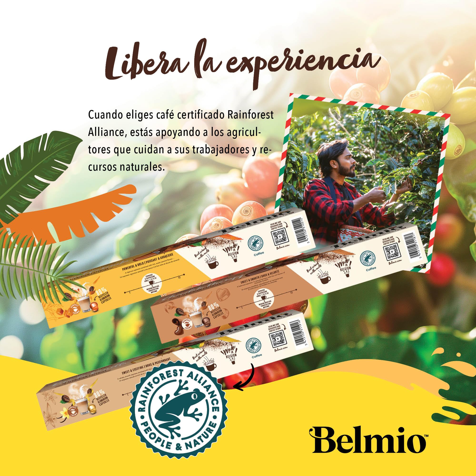 Belmio Cápsulas Nespresso Compatibles, Pack Gama Todos los Sabores, Capsulas de Café Tostado Medio, Intensidad 6 y 7, Auténtica Calidad de Bélgica, 8 Sabores, 100 Unidades