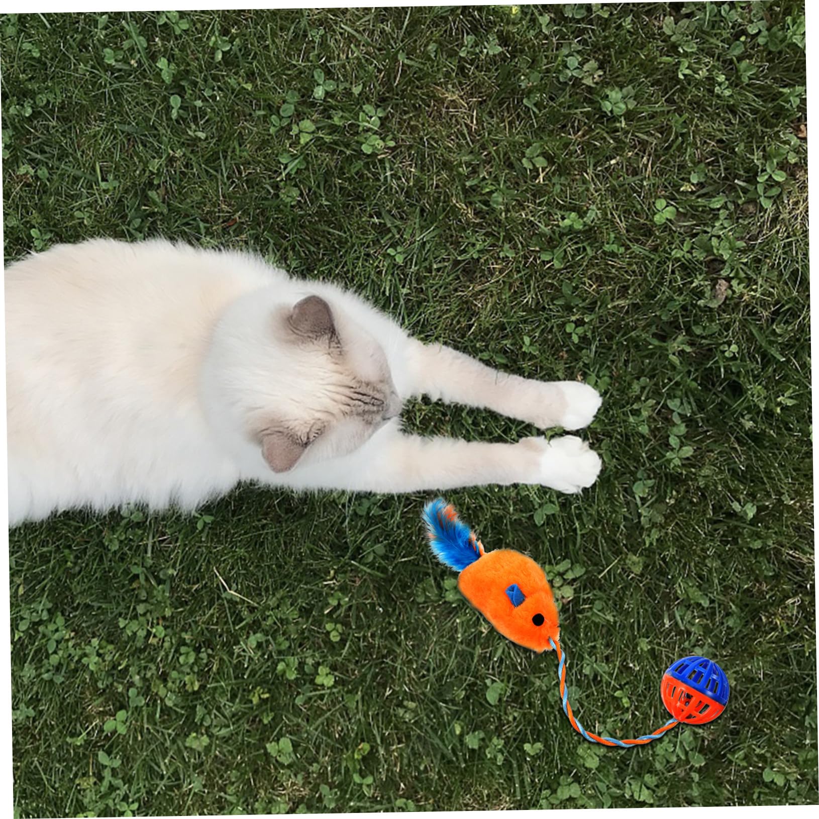 POPETPOP Jouet en Plastique et Peluche avec Clochette Interactif Soulage L'ennui et Divertit pour Chat Les Chatons en Intérieur