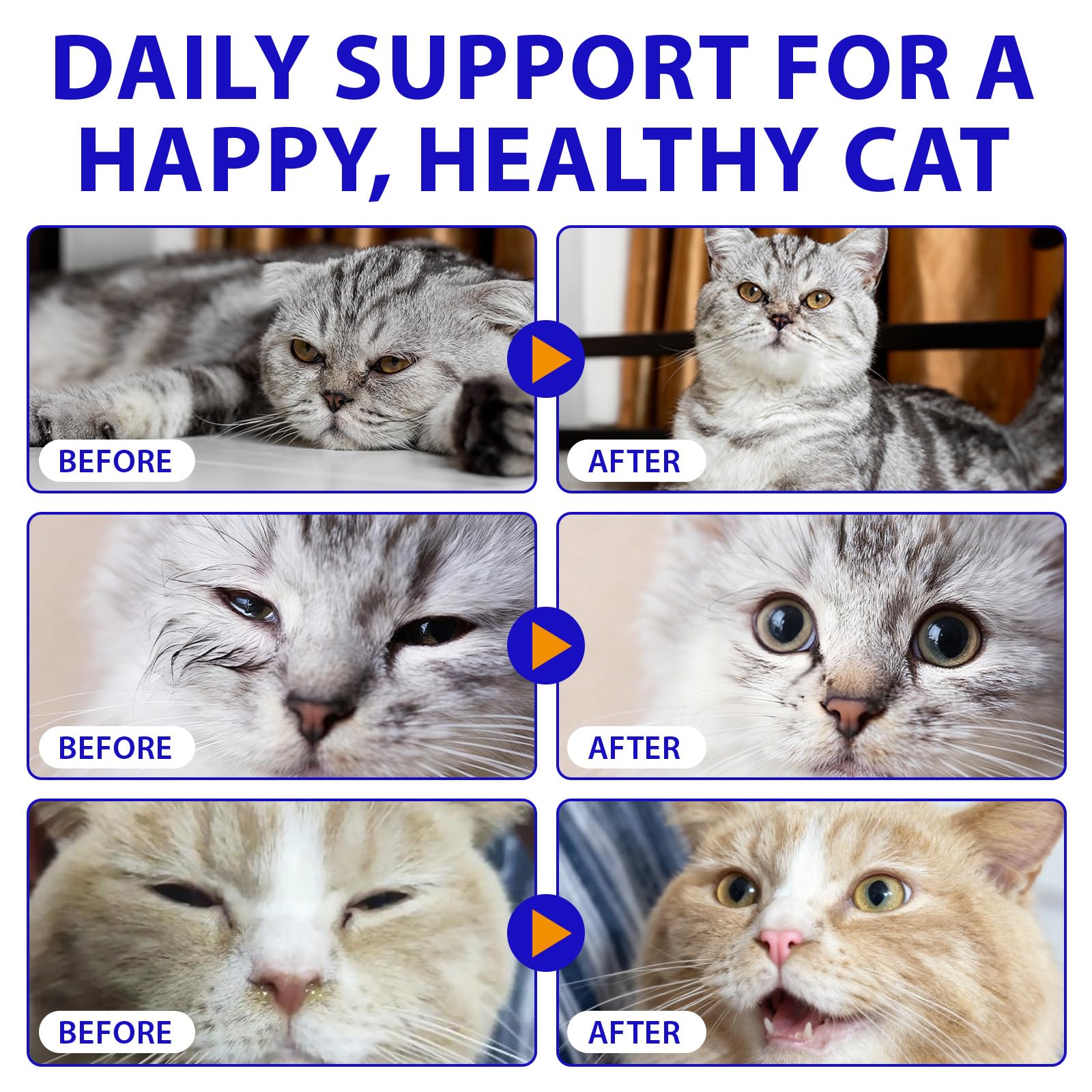 Lysine for Cats, L-lisine for Cat Immune Support, Allergy Relief, Sneezing & Runny Nose, with Colostrum, Taurina, Vitamins - Pollo asado Flavor - 60 ml/2oz