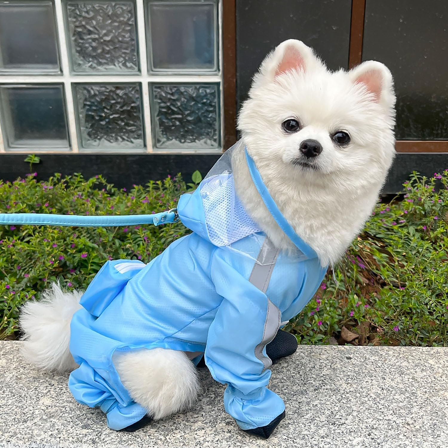 Impermeabile per cani con cappuccio - Tuta impermeabile a copertura completa per quattro zampe con scarpe, asciugatura rapida, per animali domestici, per cani di taglia piccola, media e